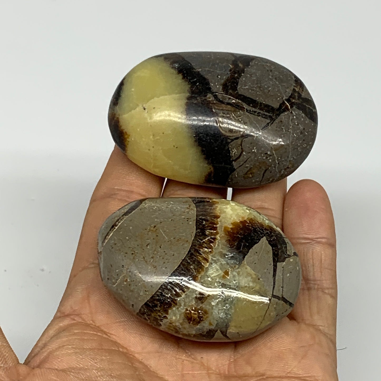 158.48g, 2.2"-2.3", 2pcs, Septarian Nodule Palm-Stone Polished Reiki Crystal, B2