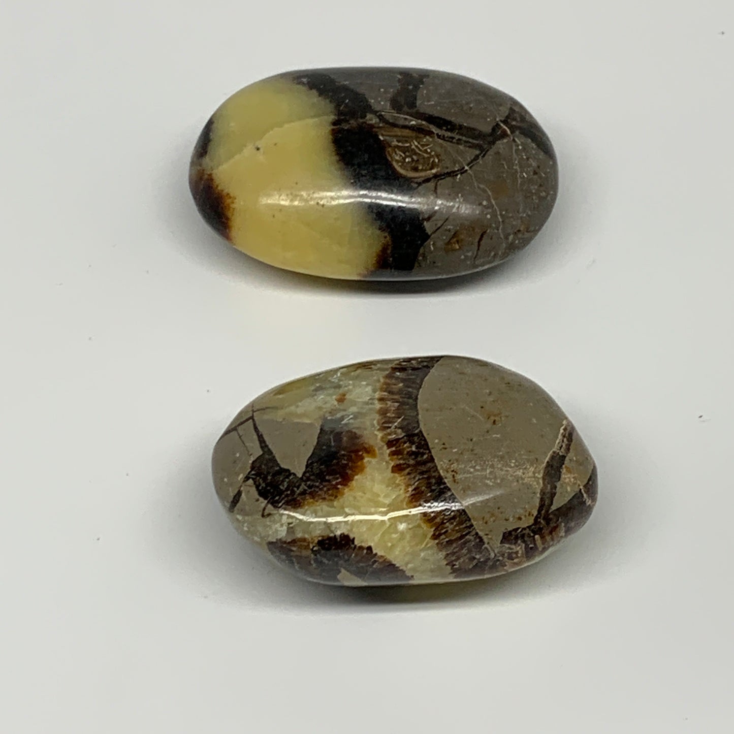 158.48g, 2.2"-2.3", 2pcs, Septarian Nodule Palm-Stone Polished Reiki Crystal, B2