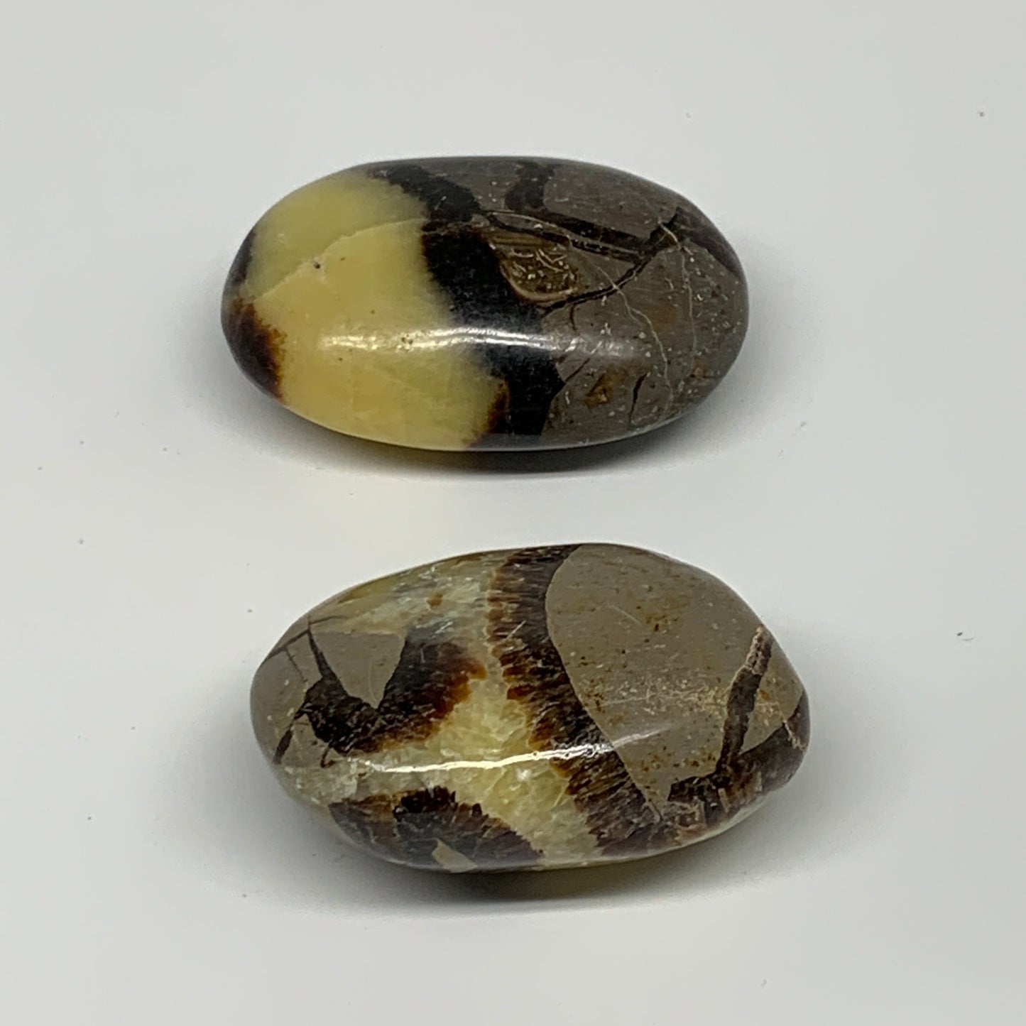 158.48g, 2.2"-2.3", 2pcs, Septarian Nodule Palm-Stone Polished Reiki Crystal, B2