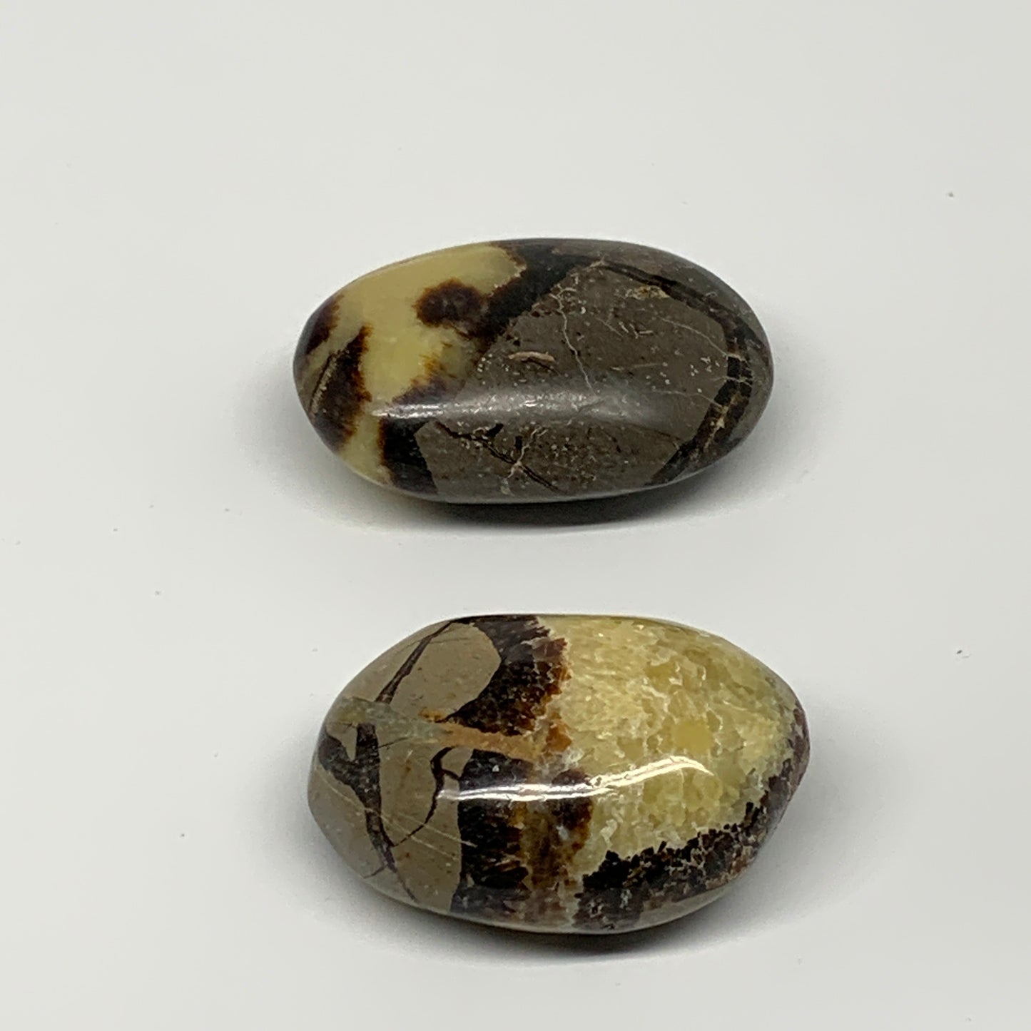 158.48g, 2.2"-2.3", 2pcs, Septarian Nodule Palm-Stone Polished Reiki Crystal, B2