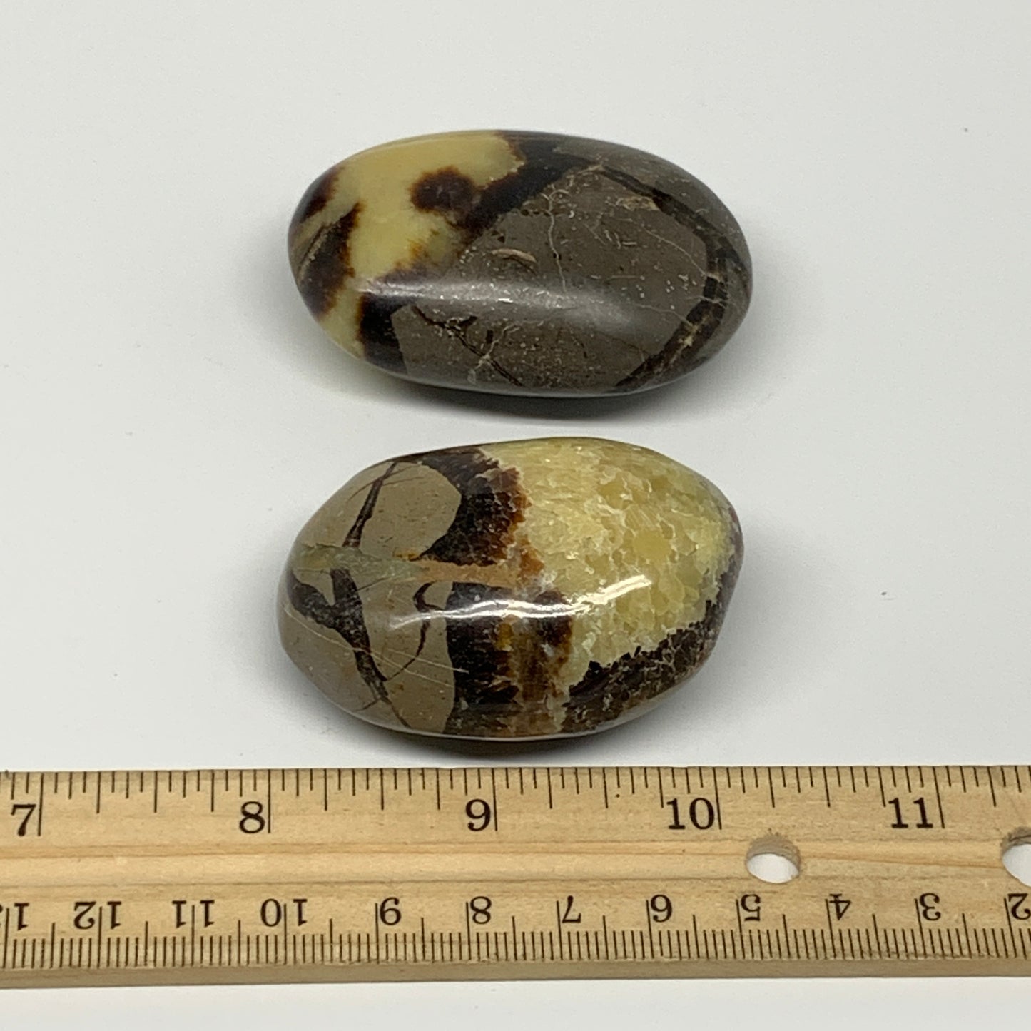 158.48g, 2.2"-2.3", 2pcs, Septarian Nodule Palm-Stone Polished Reiki Crystal, B2