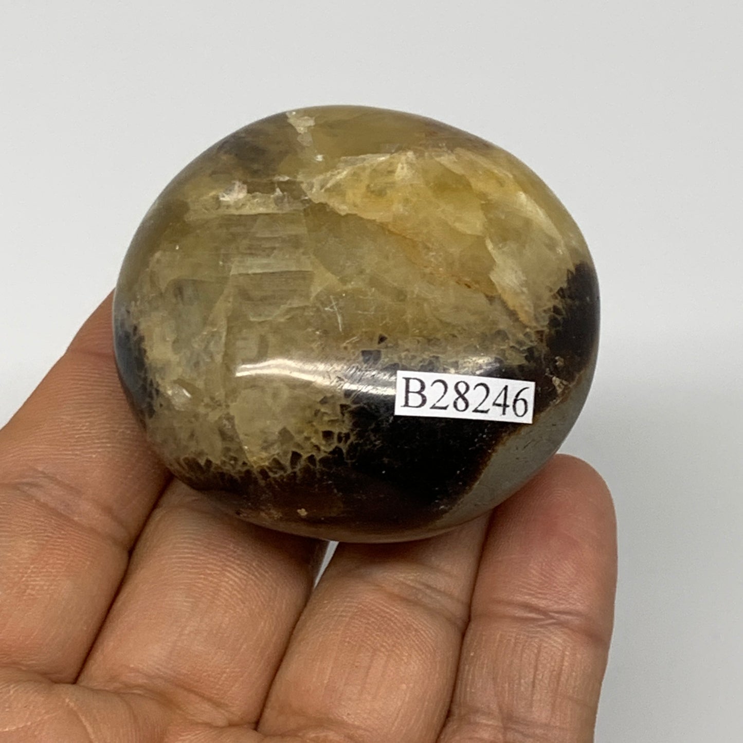 90.9g,2"x1.9"x1", Septarian Nodule Palm-Stone Polished Reiki, B28246