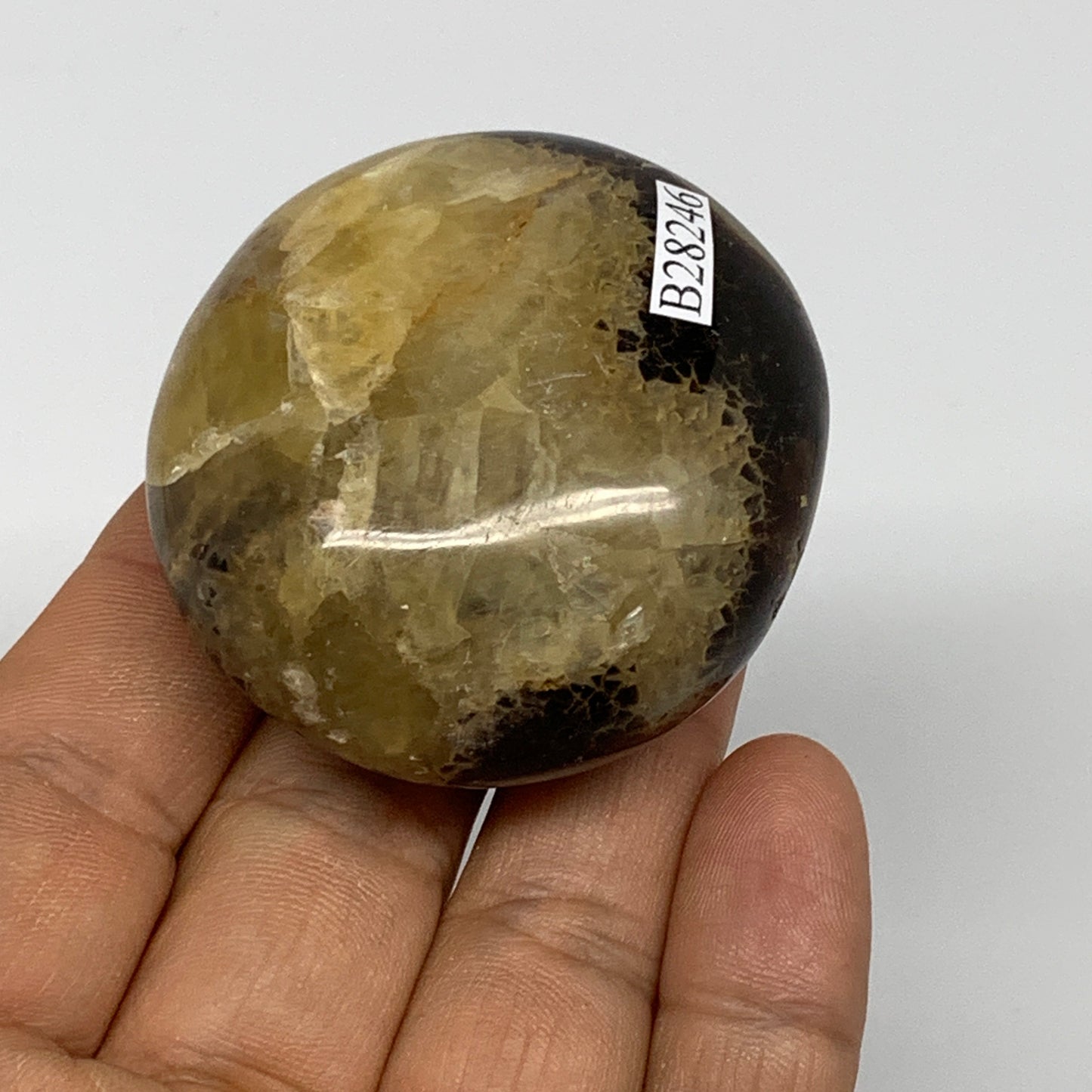 90.9g,2"x1.9"x1", Septarian Nodule Palm-Stone Polished Reiki, B28246