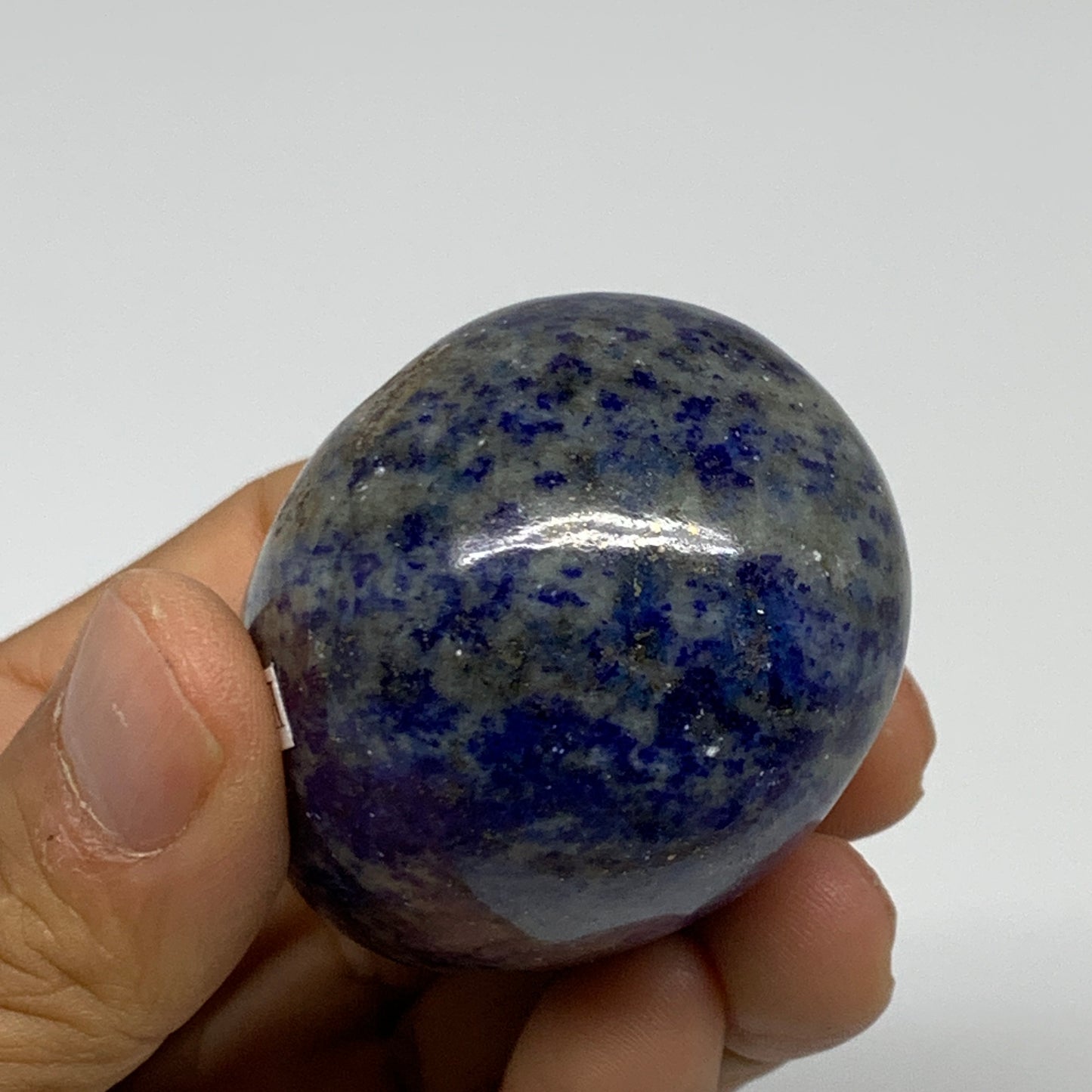 0.46 lbs, 2.6"x1.8", Natural Lapis Lazuli Egg Polished @Afghanistan, B33309