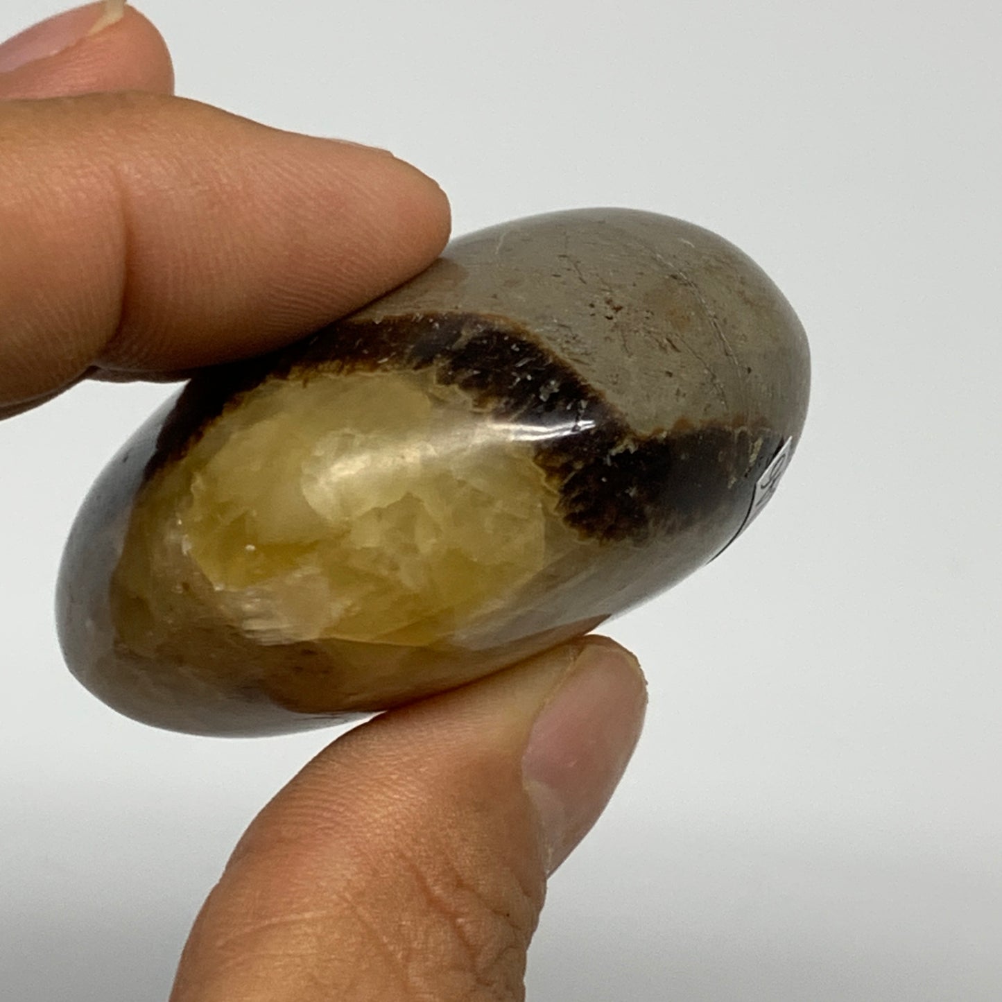 90.9g,2"x1.9"x1", Septarian Nodule Palm-Stone Polished Reiki, B28246