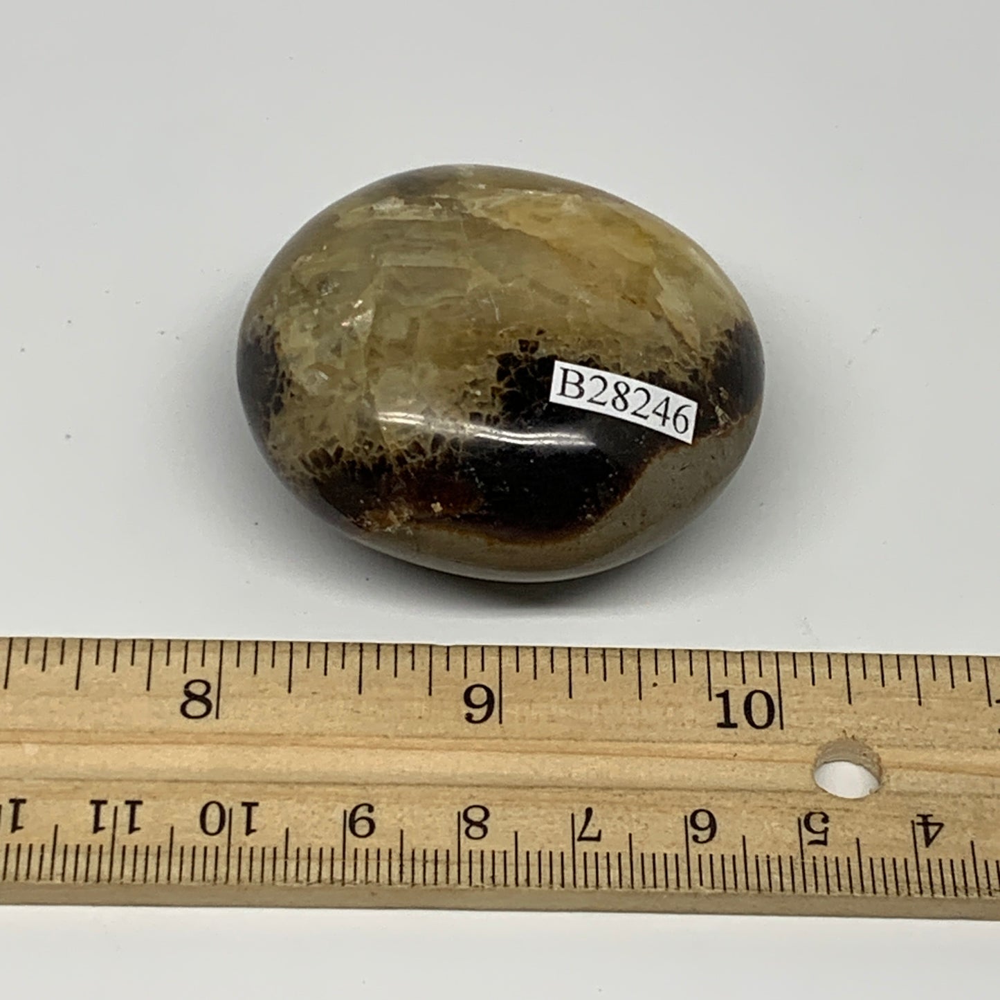 90.9g,2"x1.9"x1", Septarian Nodule Palm-Stone Polished Reiki, B28246