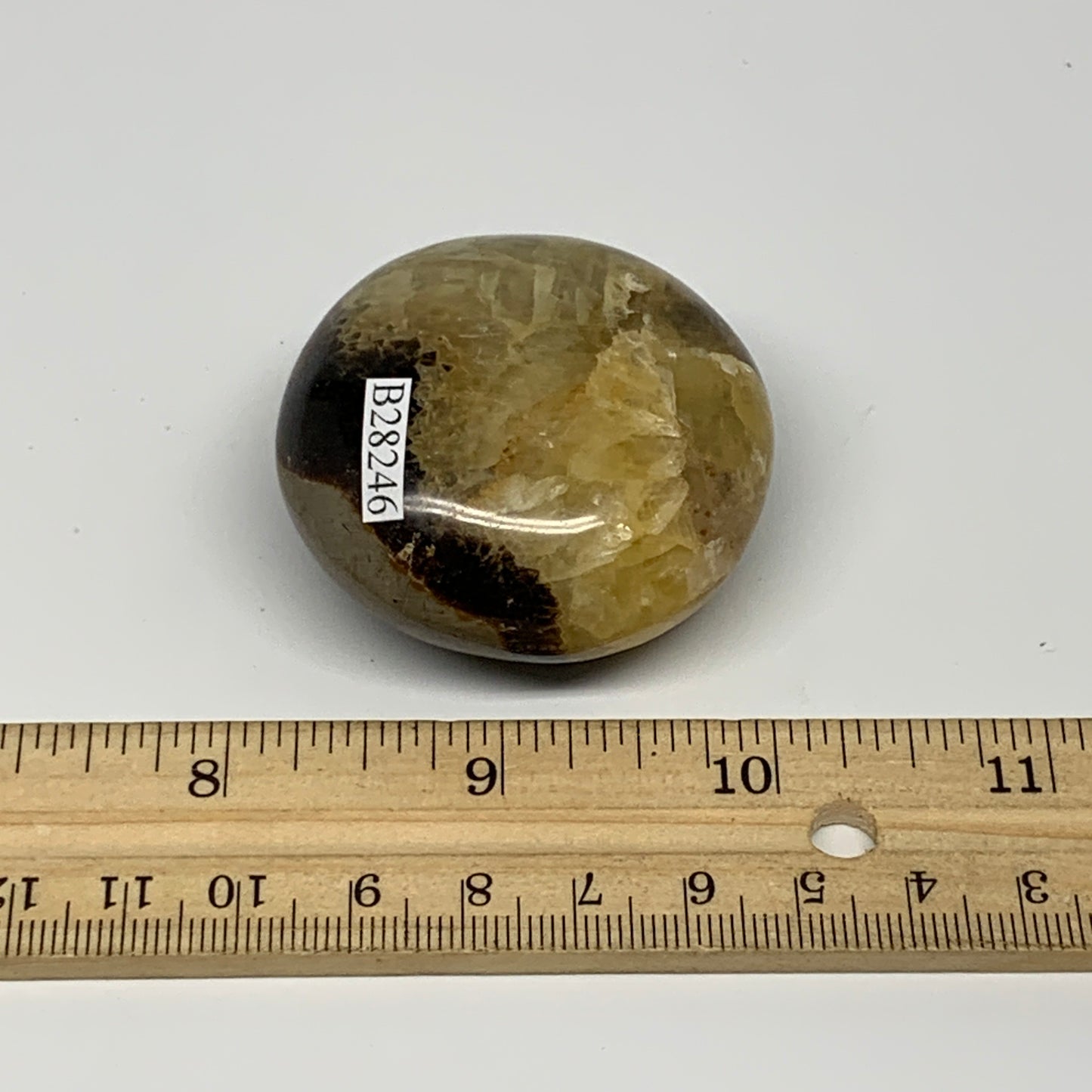 90.9g,2"x1.9"x1", Septarian Nodule Palm-Stone Polished Reiki, B28246