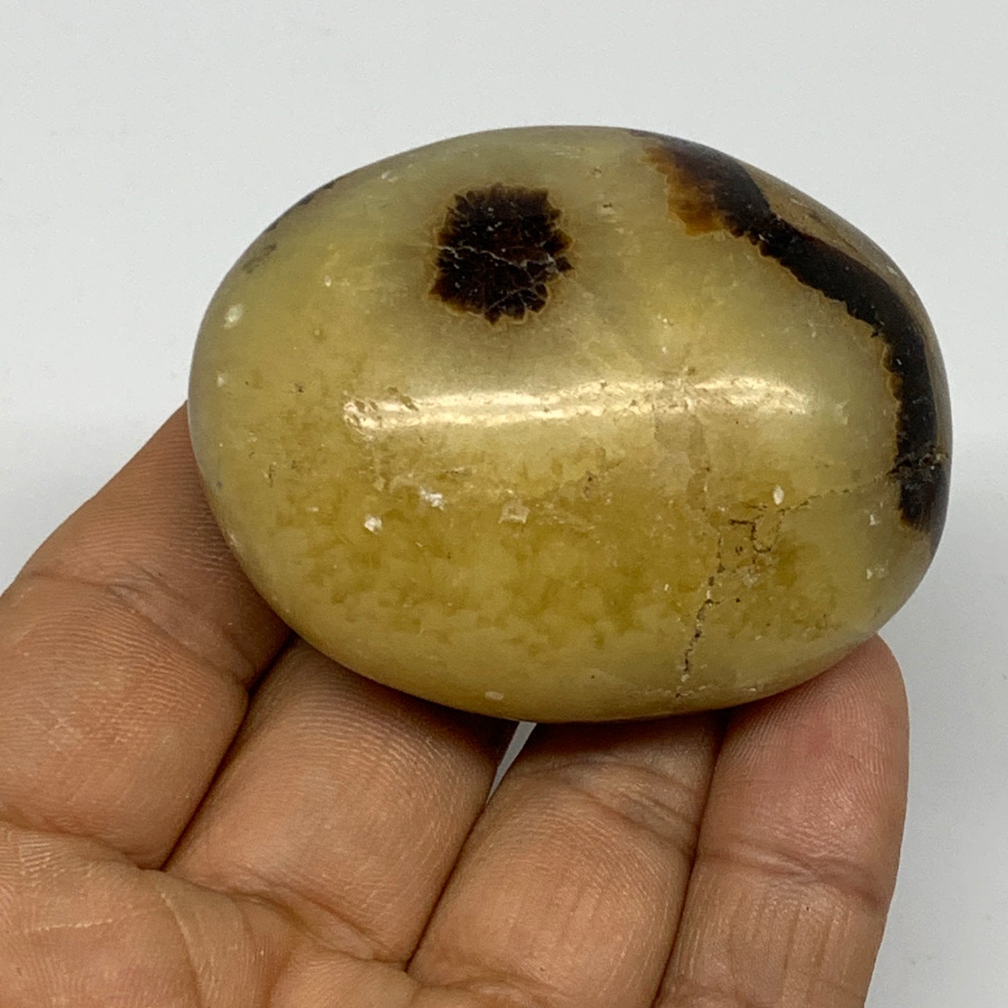 98.9g, 2.2"x1.8"x1.1", Septarian Nodule Palm-Stone Polished Reiki, B28228