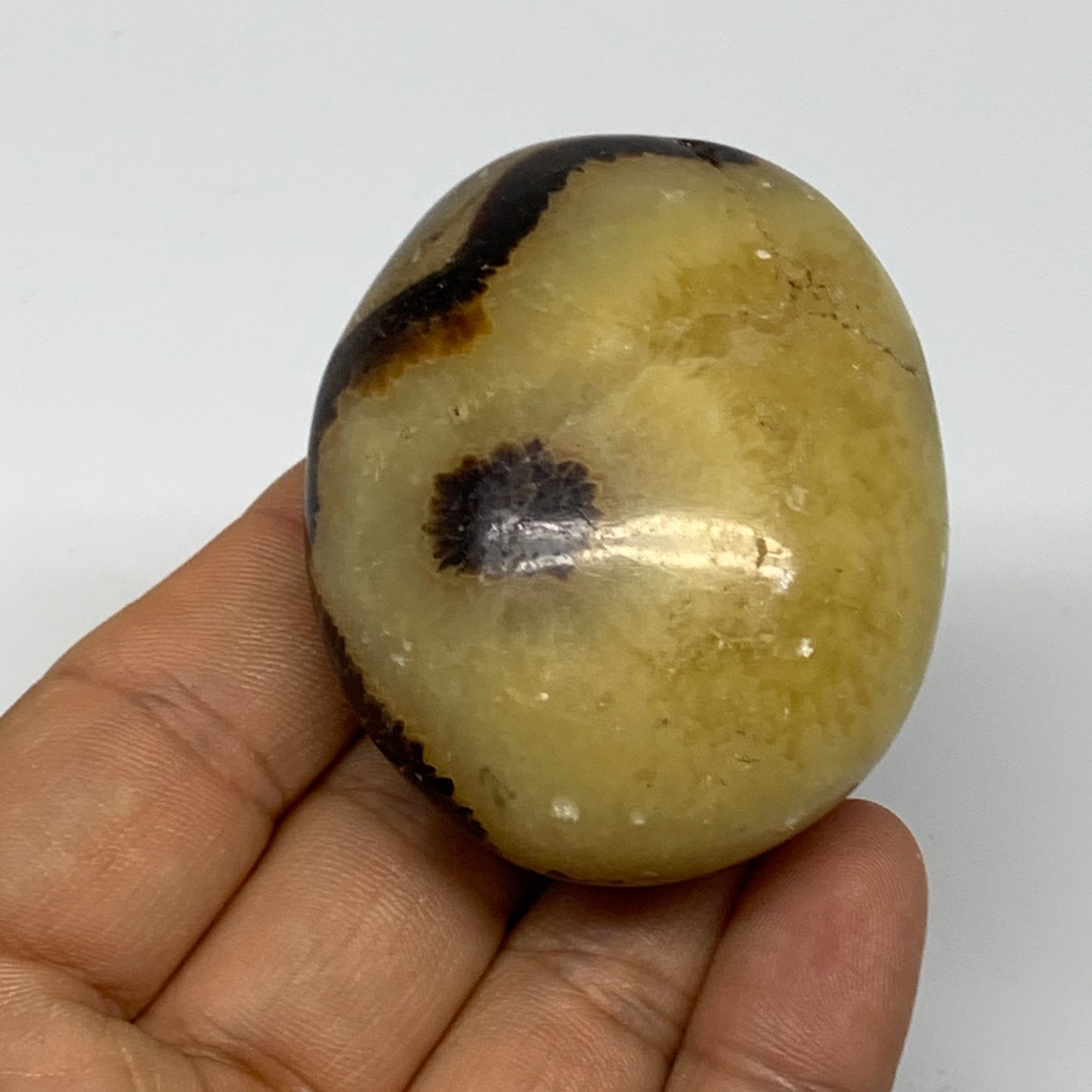 98.9g, 2.2"x1.8"x1.1", Septarian Nodule Palm-Stone Polished Reiki, B28228