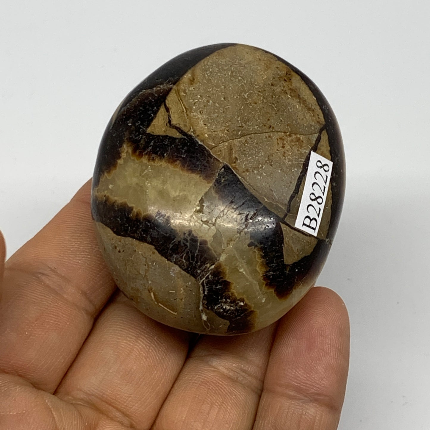 98.9g, 2.2"x1.8"x1.1", Septarian Nodule Palm-Stone Polished Reiki, B28228