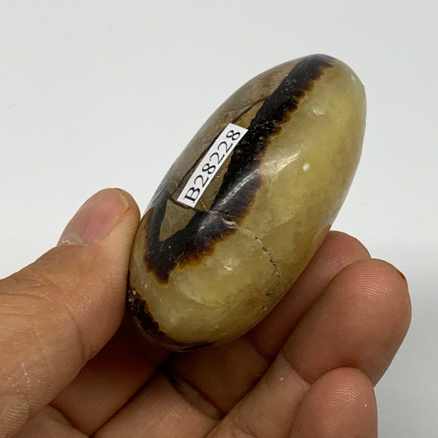 98.9g, 2.2"x1.8"x1.1", Septarian Nodule Palm-Stone Polished Reiki, B28228