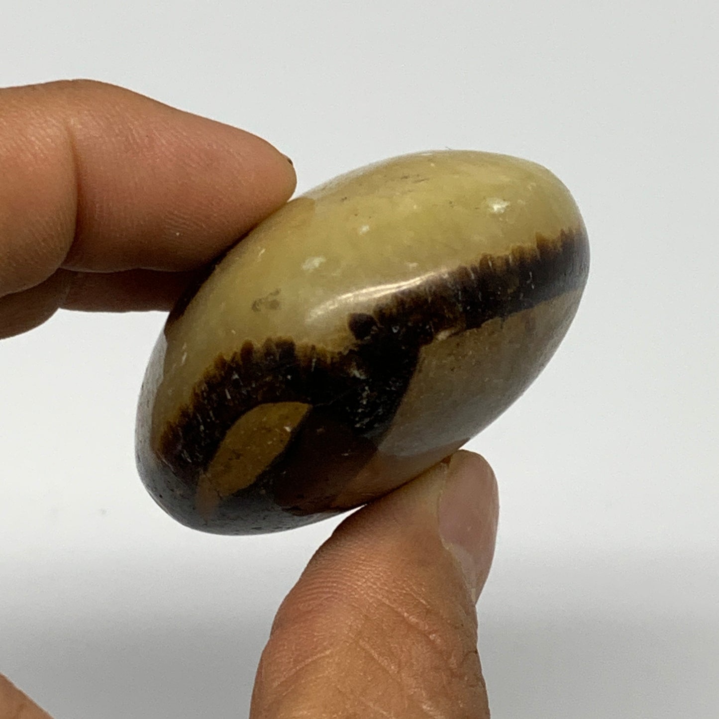 98.9g, 2.2"x1.8"x1.1", Septarian Nodule Palm-Stone Polished Reiki, B28228