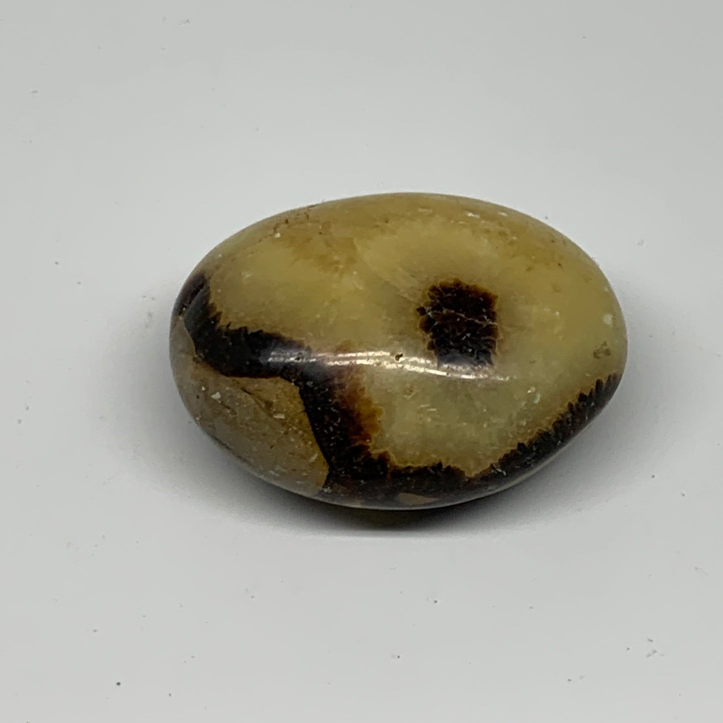 98.9g, 2.2"x1.8"x1.1", Septarian Nodule Palm-Stone Polished Reiki, B28228