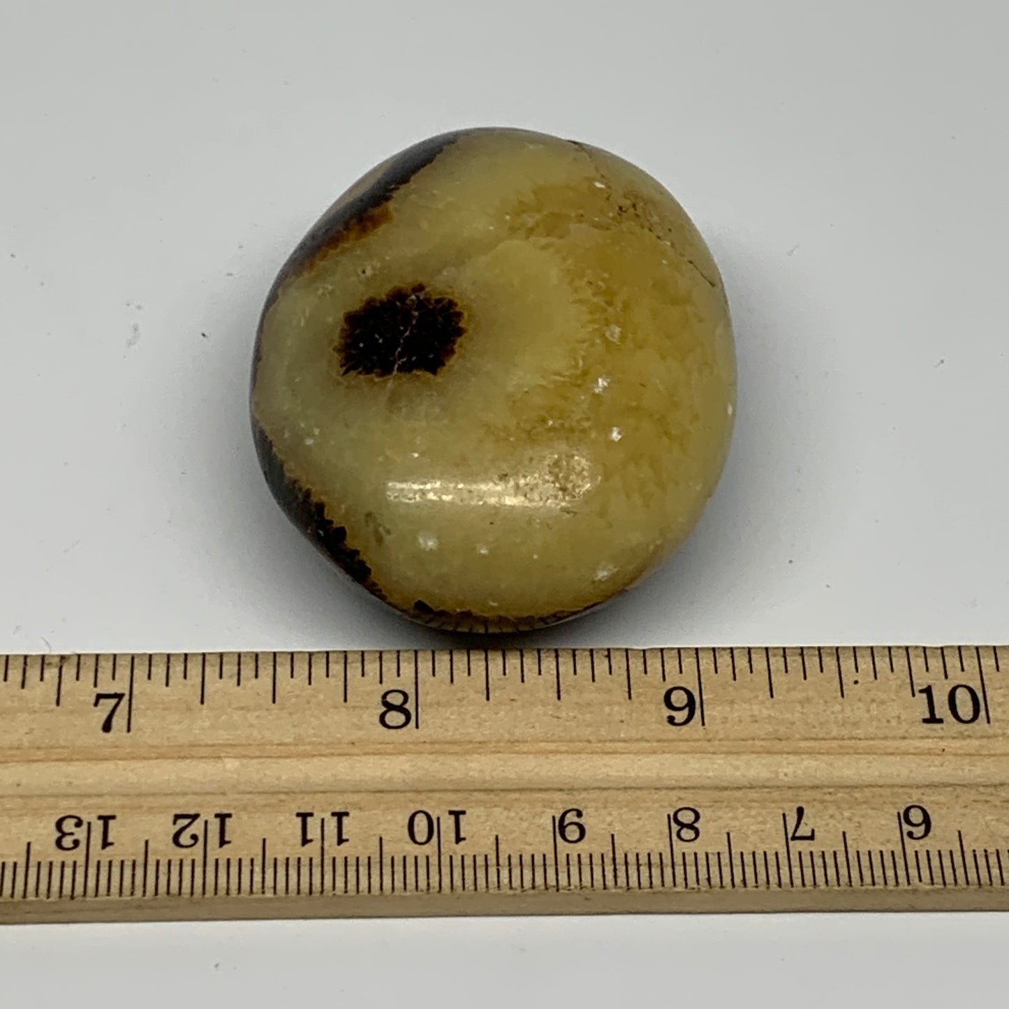 98.9g, 2.2"x1.8"x1.1", Septarian Nodule Palm-Stone Polished Reiki, B28228