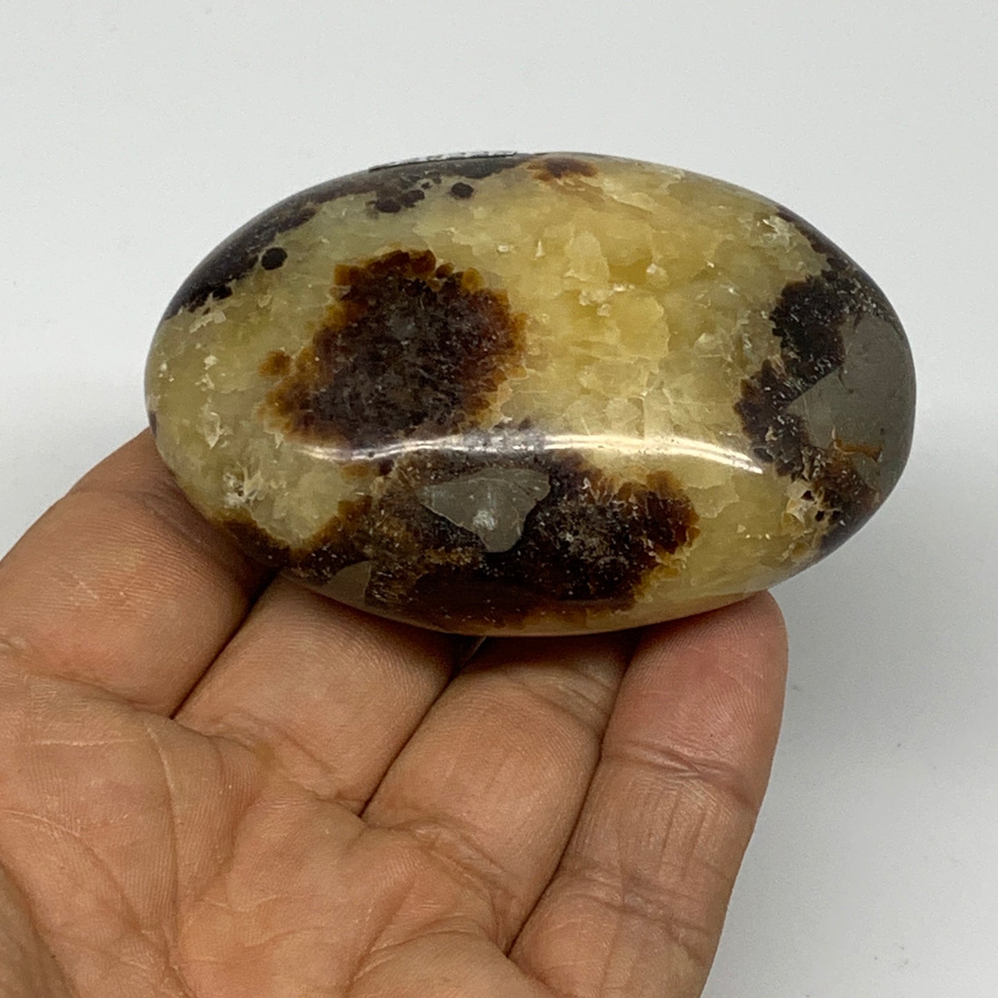 126.7g, 2.7"x1.9"x1.1", Septarian Nodule Palm-Stone Polished Reiki, B28225