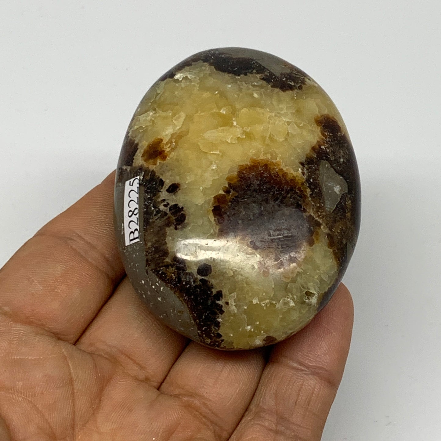 126.7g, 2.7"x1.9"x1.1", Septarian Nodule Palm-Stone Polished Reiki, B28225