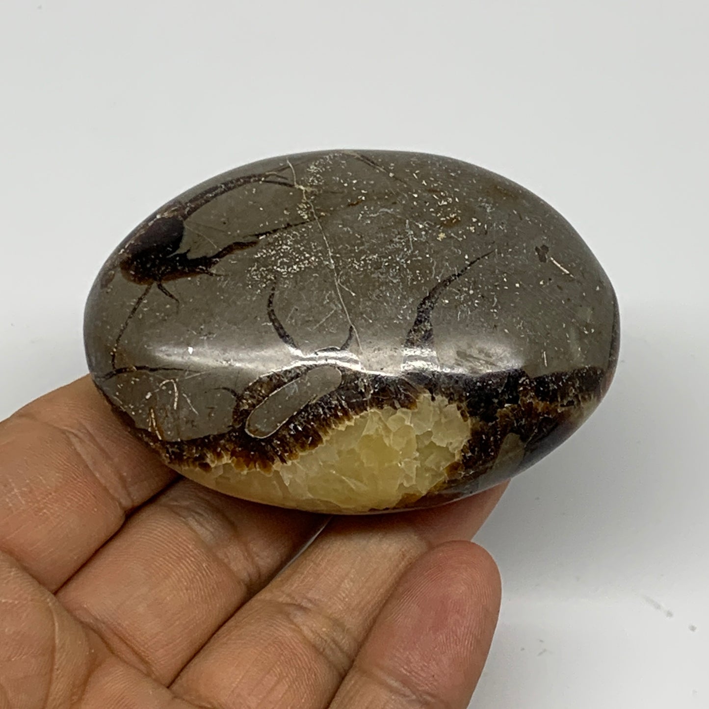 126.7g, 2.7"x1.9"x1.1", Septarian Nodule Palm-Stone Polished Reiki, B28225