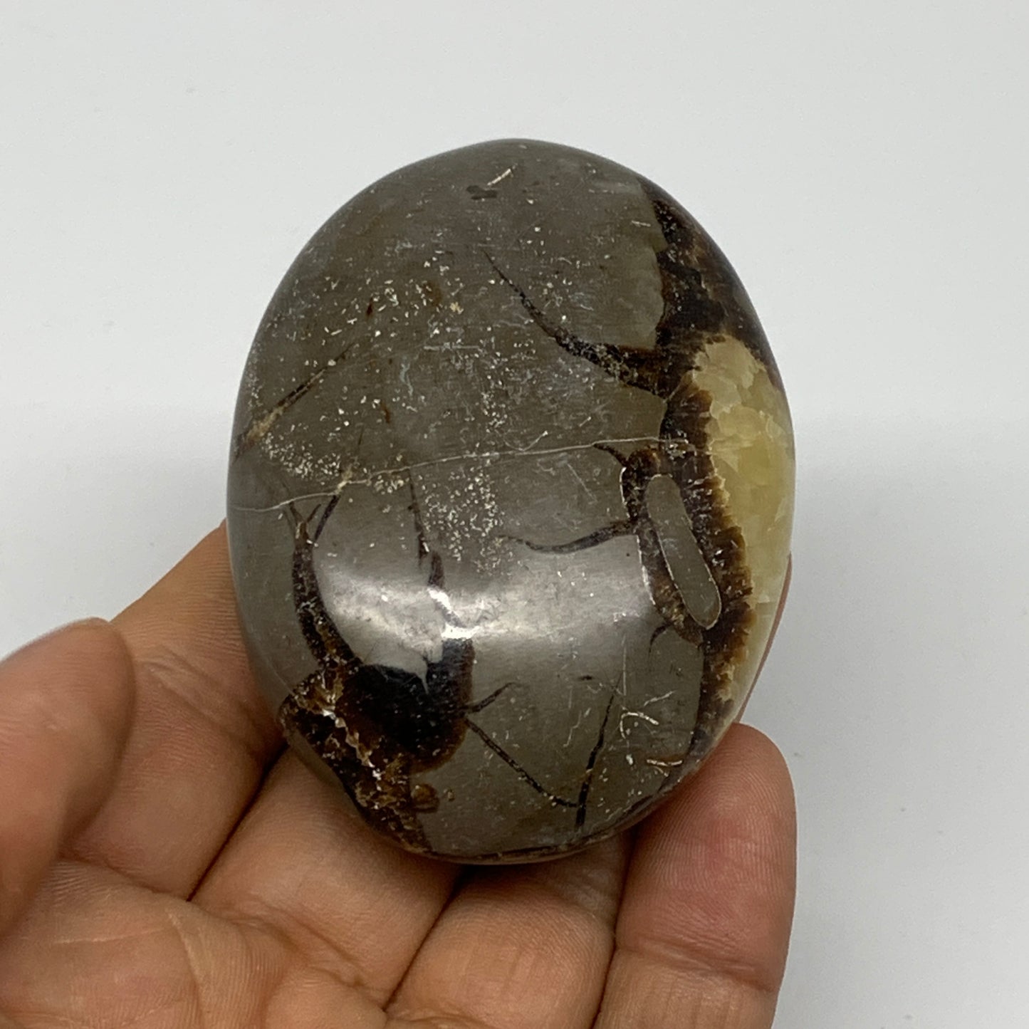 126.7g, 2.7"x1.9"x1.1", Septarian Nodule Palm-Stone Polished Reiki, B28225