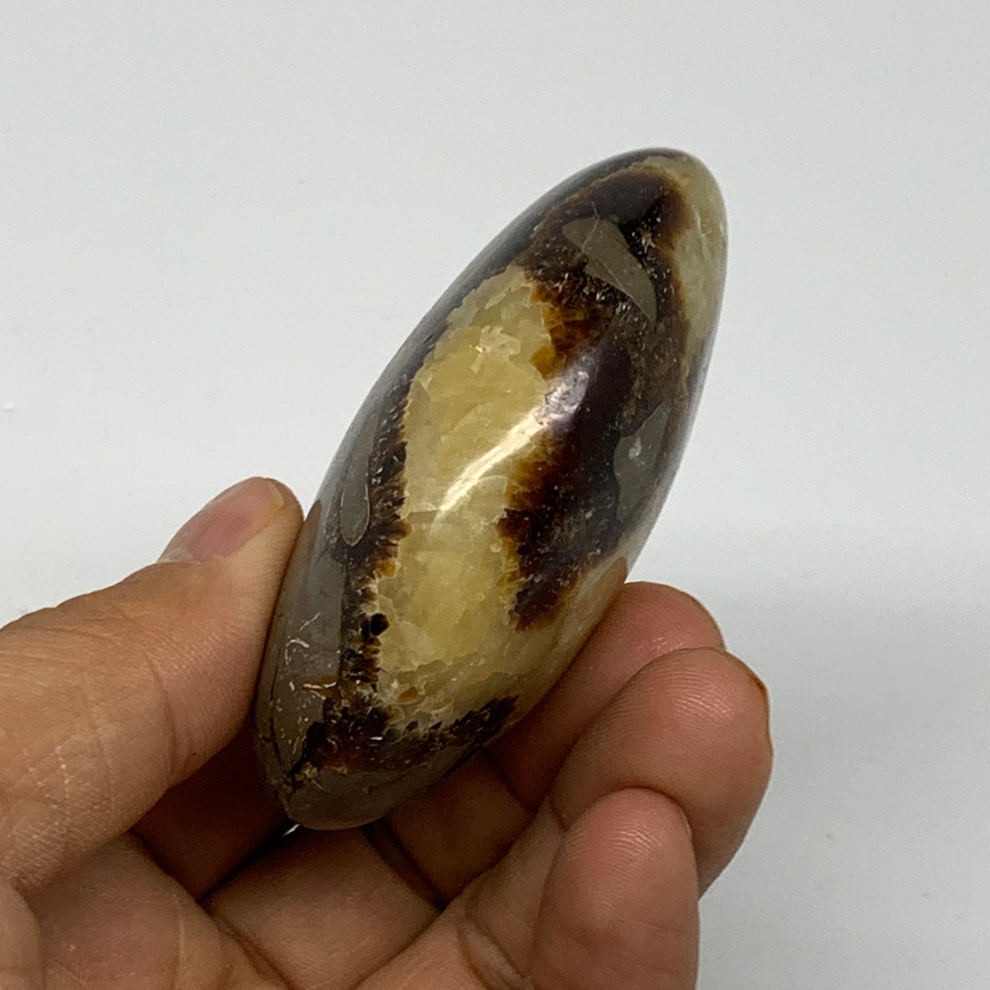 126.7g, 2.7"x1.9"x1.1", Septarian Nodule Palm-Stone Polished Reiki, B28225