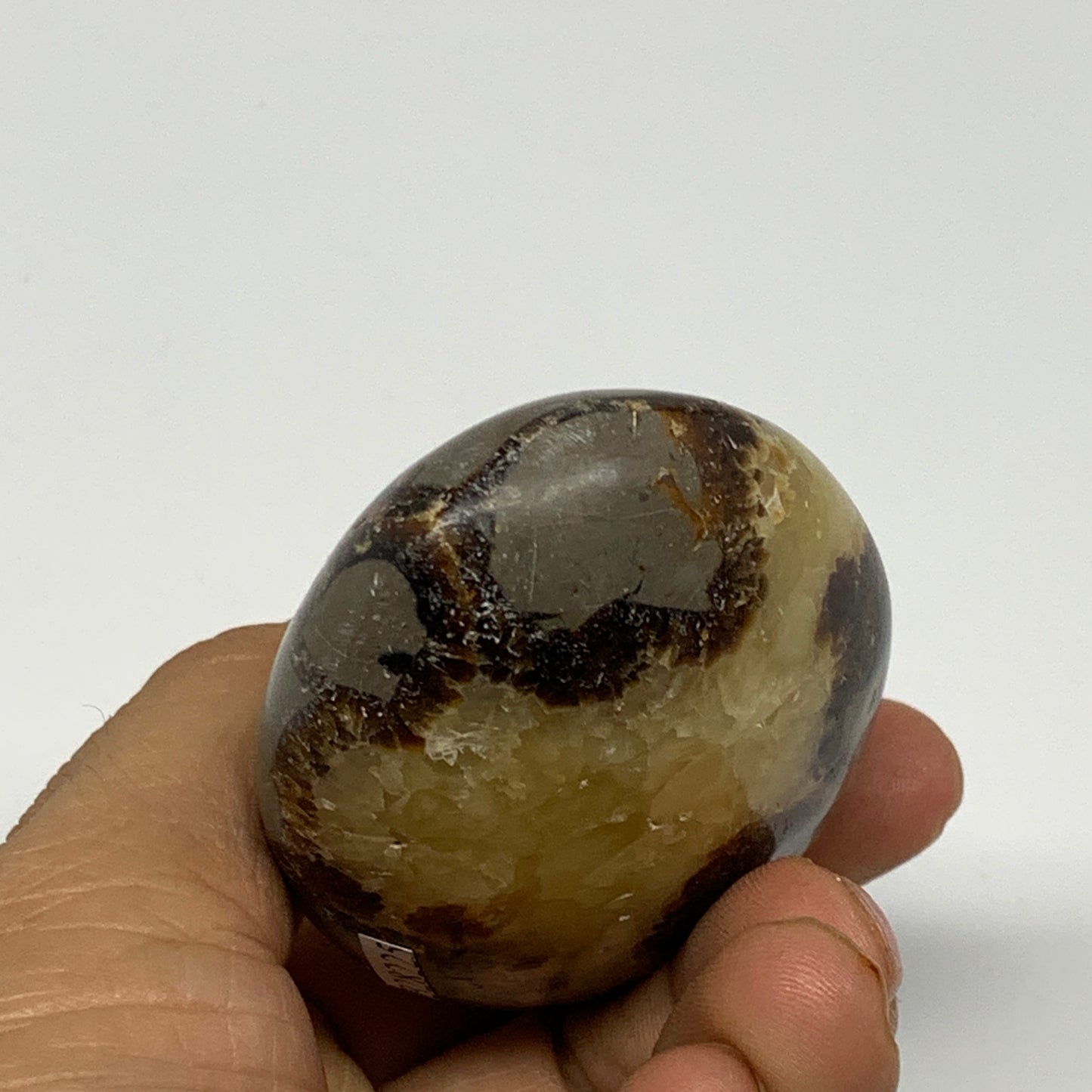 126.7g, 2.7"x1.9"x1.1", Septarian Nodule Palm-Stone Polished Reiki, B28225