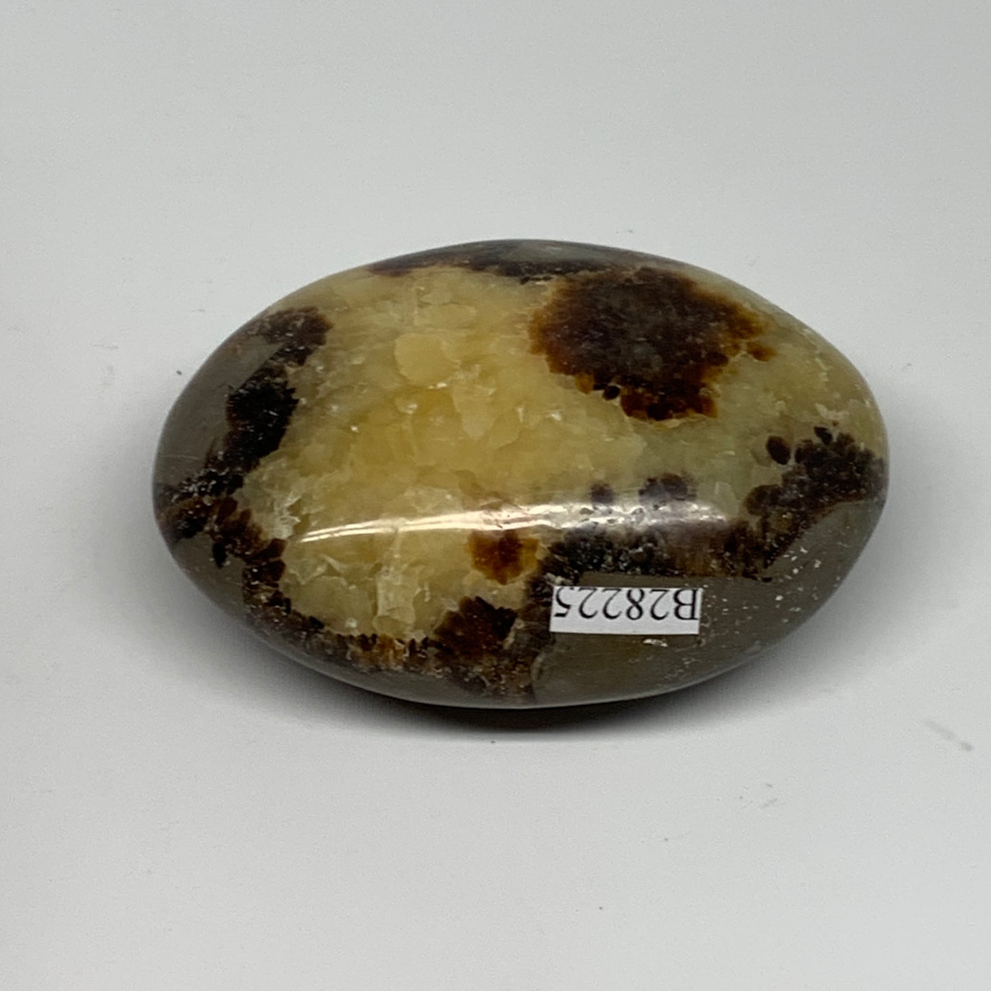 126.7g, 2.7"x1.9"x1.1", Septarian Nodule Palm-Stone Polished Reiki, B28225