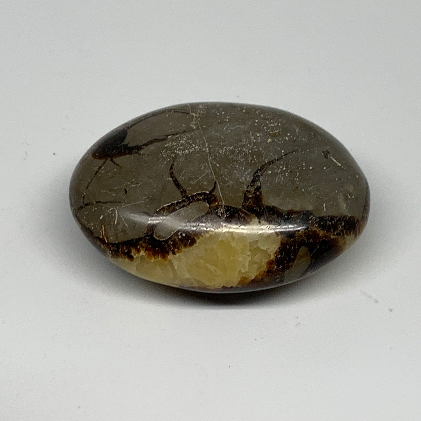 126.7g, 2.7"x1.9"x1.1", Septarian Nodule Palm-Stone Polished Reiki, B28225