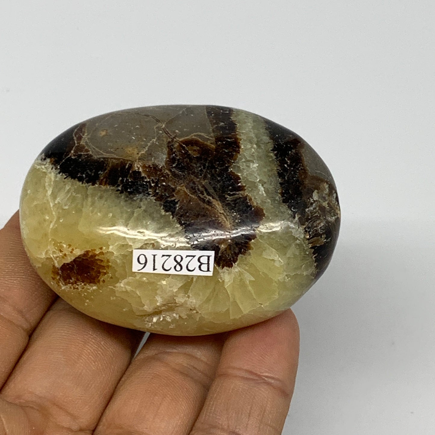 113g, 2.4"x1.8"x1.2", Septarian Nodule Palm-Stone Polished Reiki, B28216