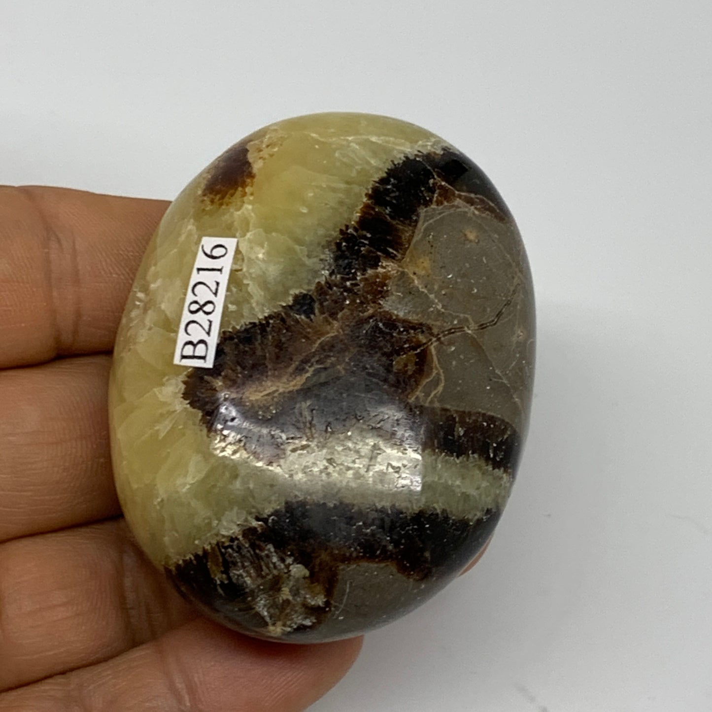 113g, 2.4"x1.8"x1.2", Septarian Nodule Palm-Stone Polished Reiki, B28216