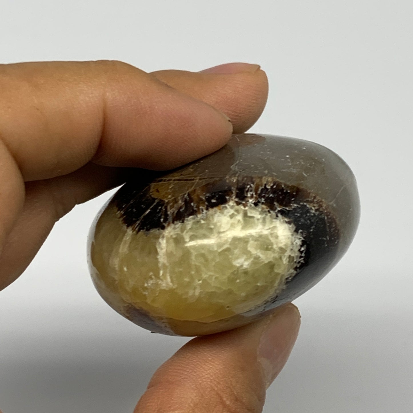 113g, 2.4"x1.8"x1.2", Septarian Nodule Palm-Stone Polished Reiki, B28216