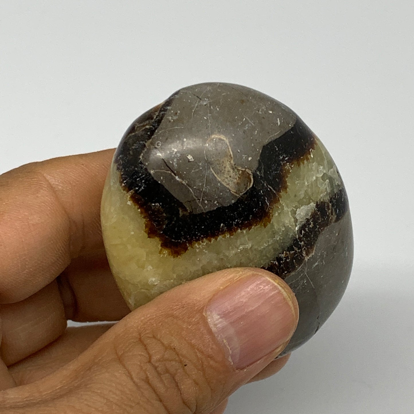 113g, 2.4"x1.8"x1.2", Septarian Nodule Palm-Stone Polished Reiki, B28216