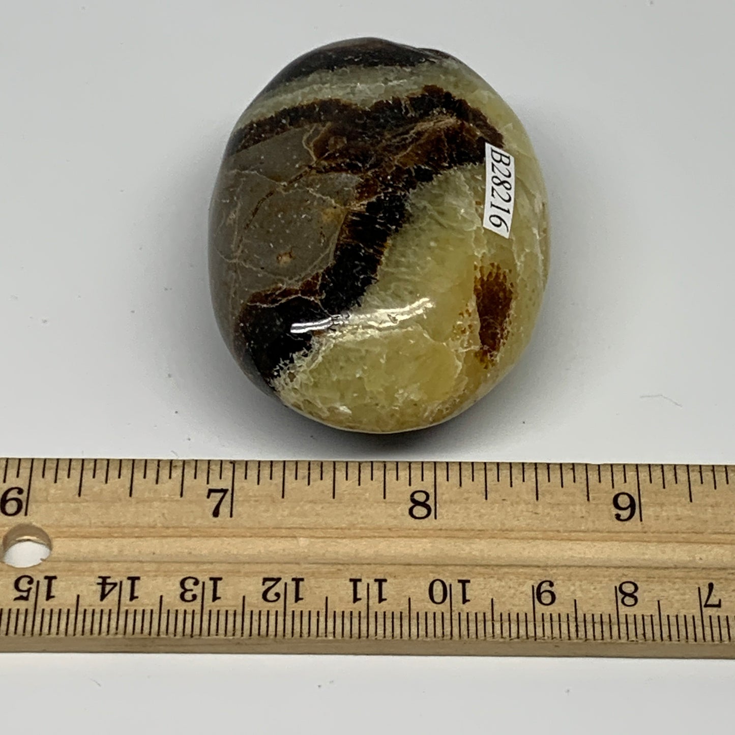 113g, 2.4"x1.8"x1.2", Septarian Nodule Palm-Stone Polished Reiki, B28216