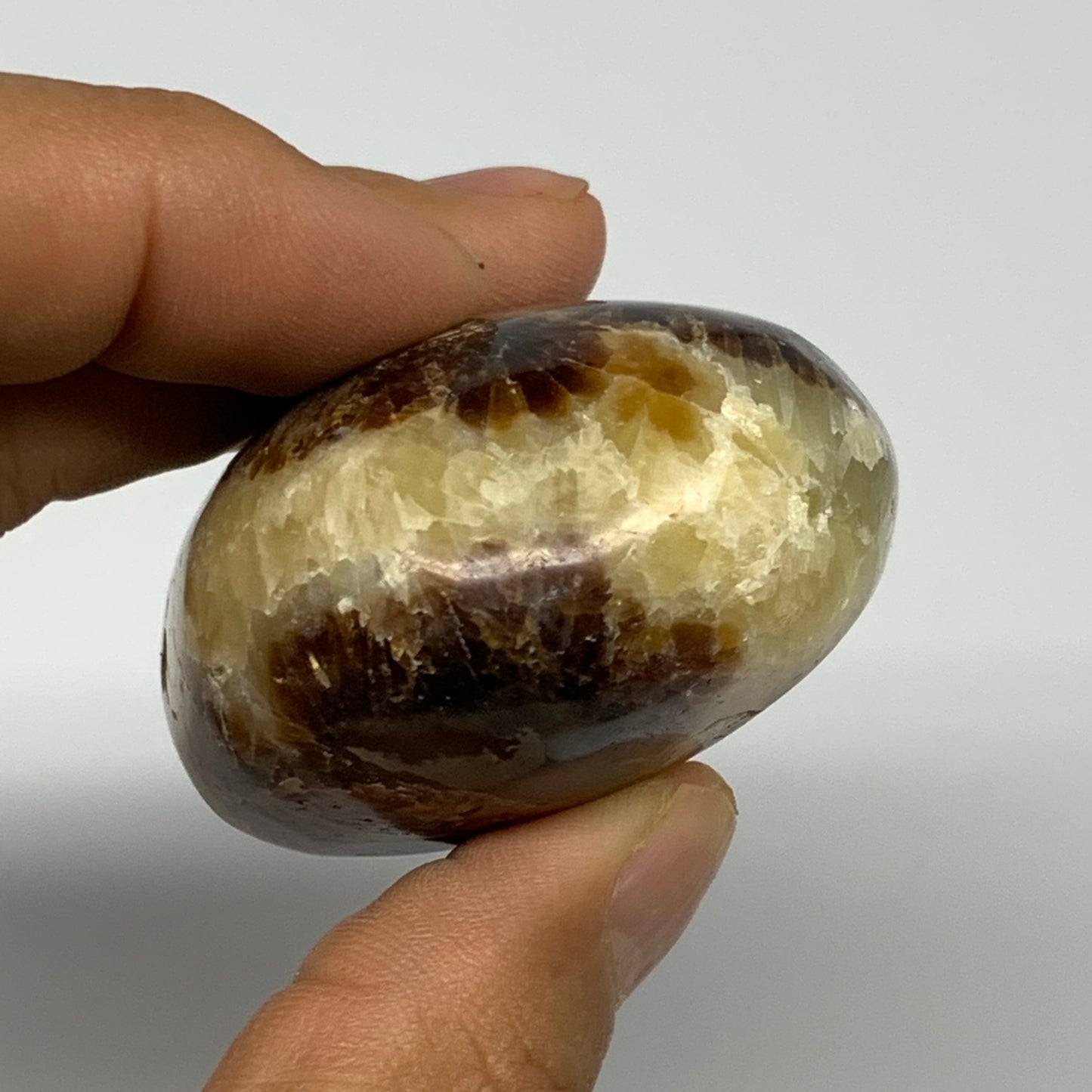 114.5g, 2.3"x1.8"x1.2", Septarian Nodule Palm-Stone Polished Reiki, B28212