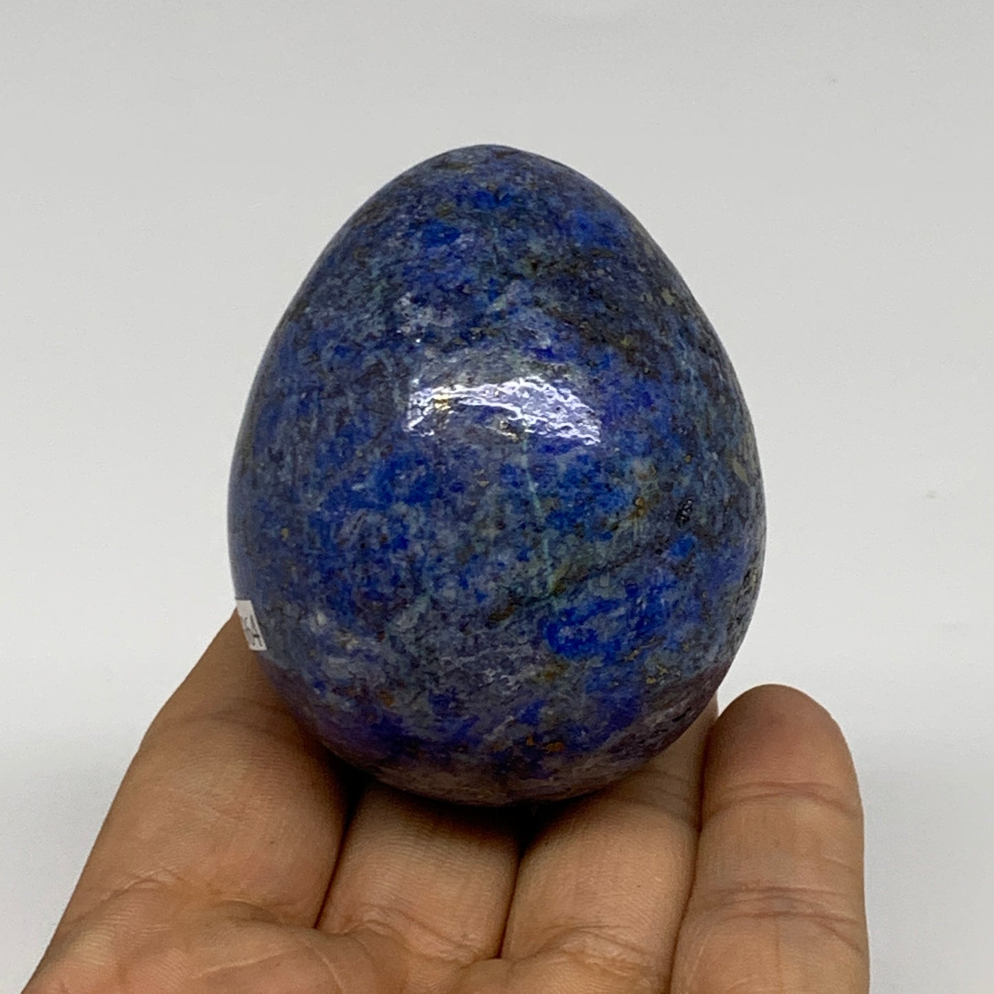 208.5g, 2.4"x1.9", Natural Lapis Lazuli Egg Polished, Clearance, B33364