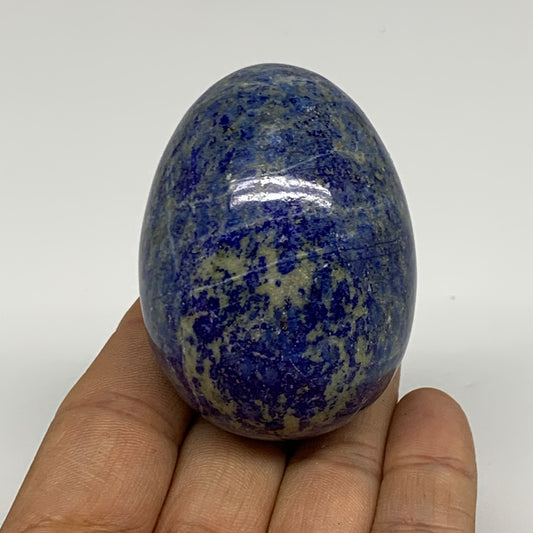 160g, 2.3"x1.6", Natural Lapis Lazuli Egg Polished, Clearance, B33366