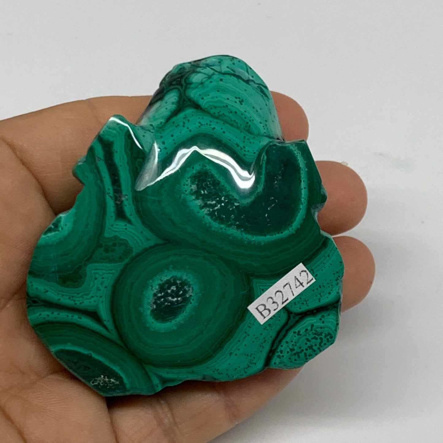 154g, 2.6"x2.3"x1" Natural Solid Malachite Frog Figurine @Congo, B32742