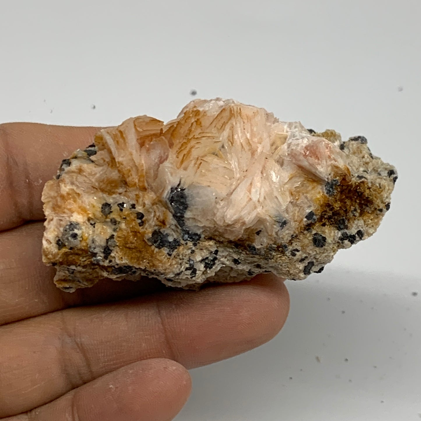 0.25 lbs, 2.6"x1.4"x1.2", Natural Ceresit Galena On Barite Mineral Specimen, B33