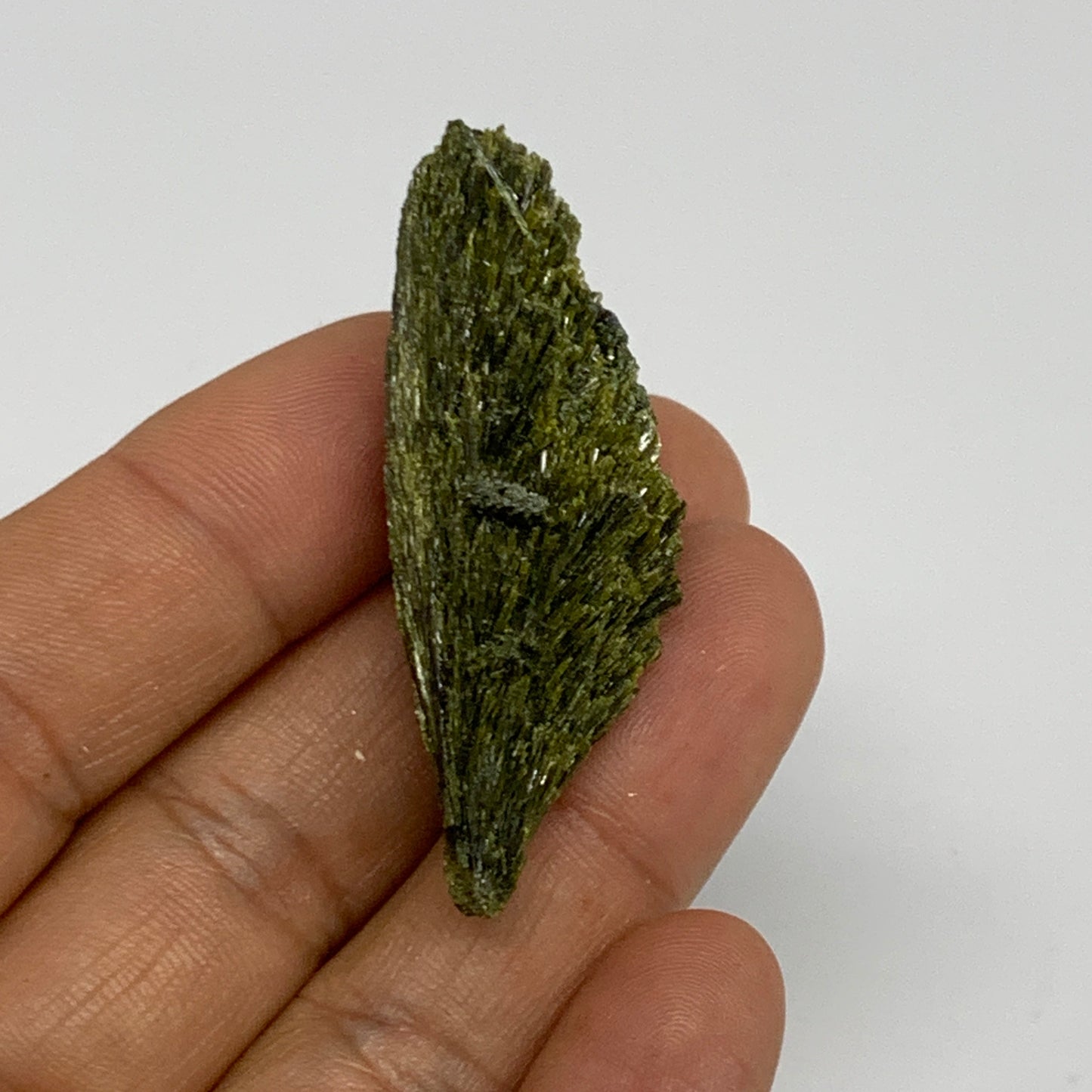 14.9g,1.9"x0.7"x0.7",Green Epidote Custer/Leaf Mineral Specimen @Pakistan,B27587