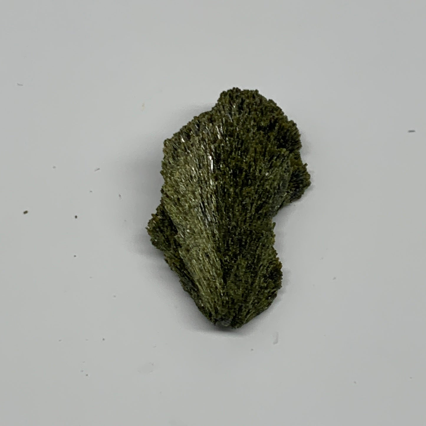 36.8g,2.6"x1.3"x0.7",Green Epidote Custer/Leaf Mineral Specimen @Pakistan,B27598