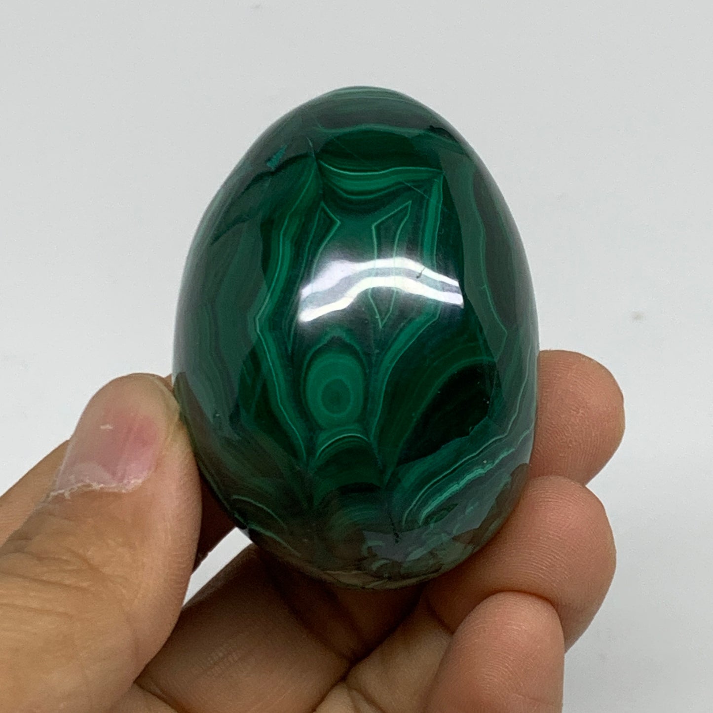 158g, 2"x1.6", Natural Solid Malachite Egg Polished Gemstone @Congo, B32770