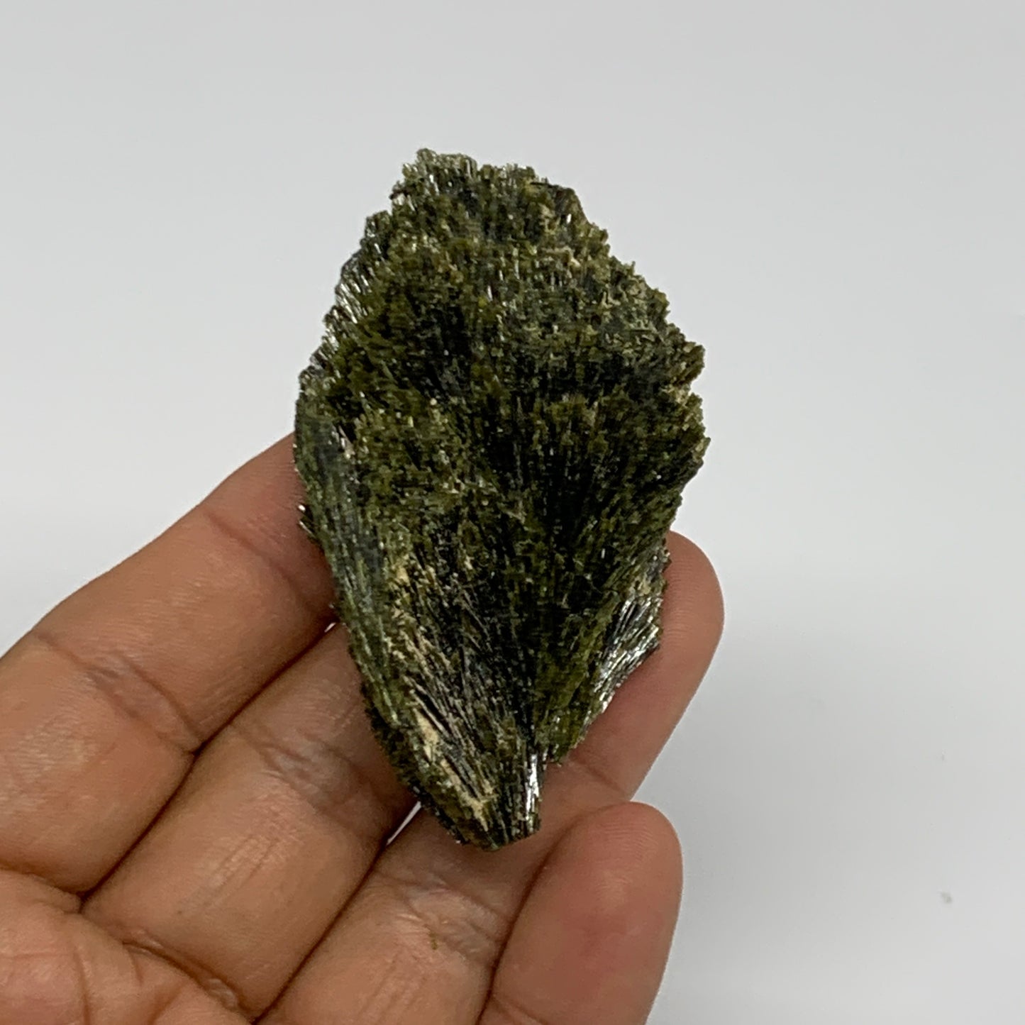 45.4g,2.5"x1.5"x0.6",Green Epidote Custer/Leaf Mineral Specimen @Pakistan,B27603