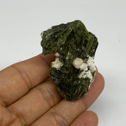 35.9g,1.9"x1.1"x0.9",Green Epidote Custer/Leaf Mineral Specimen @Pakistan,B27604