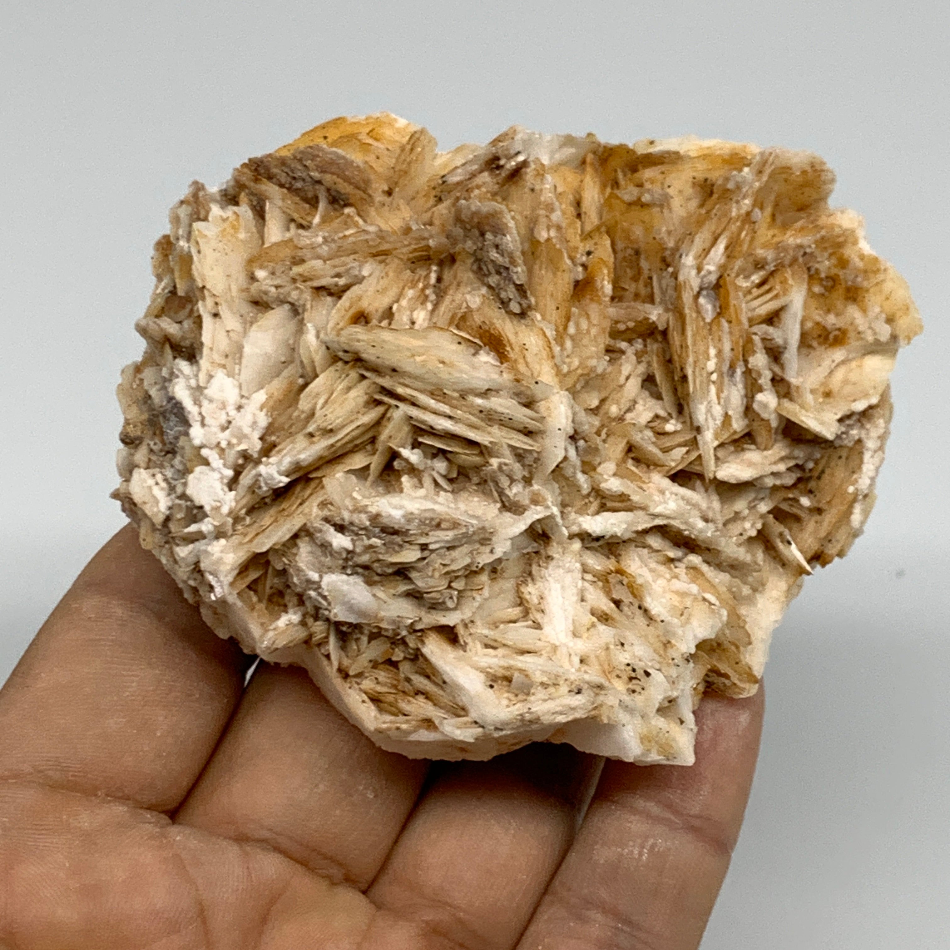 Barite newest specimen from Morocco