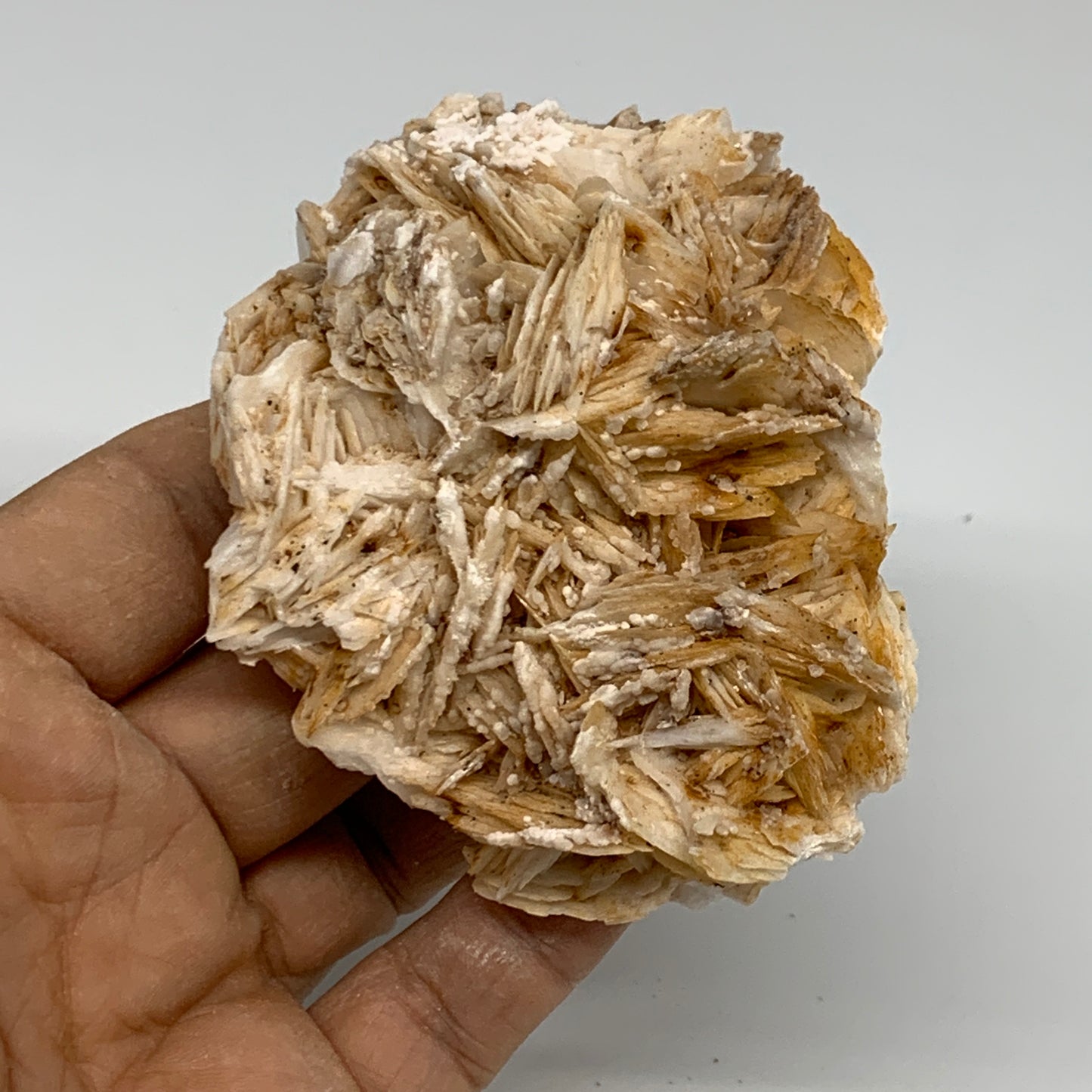 0.52 lbs, 3.1"x2.5x1.3", Natural Golden Barite Mineral Specimen @Morocco, B33439