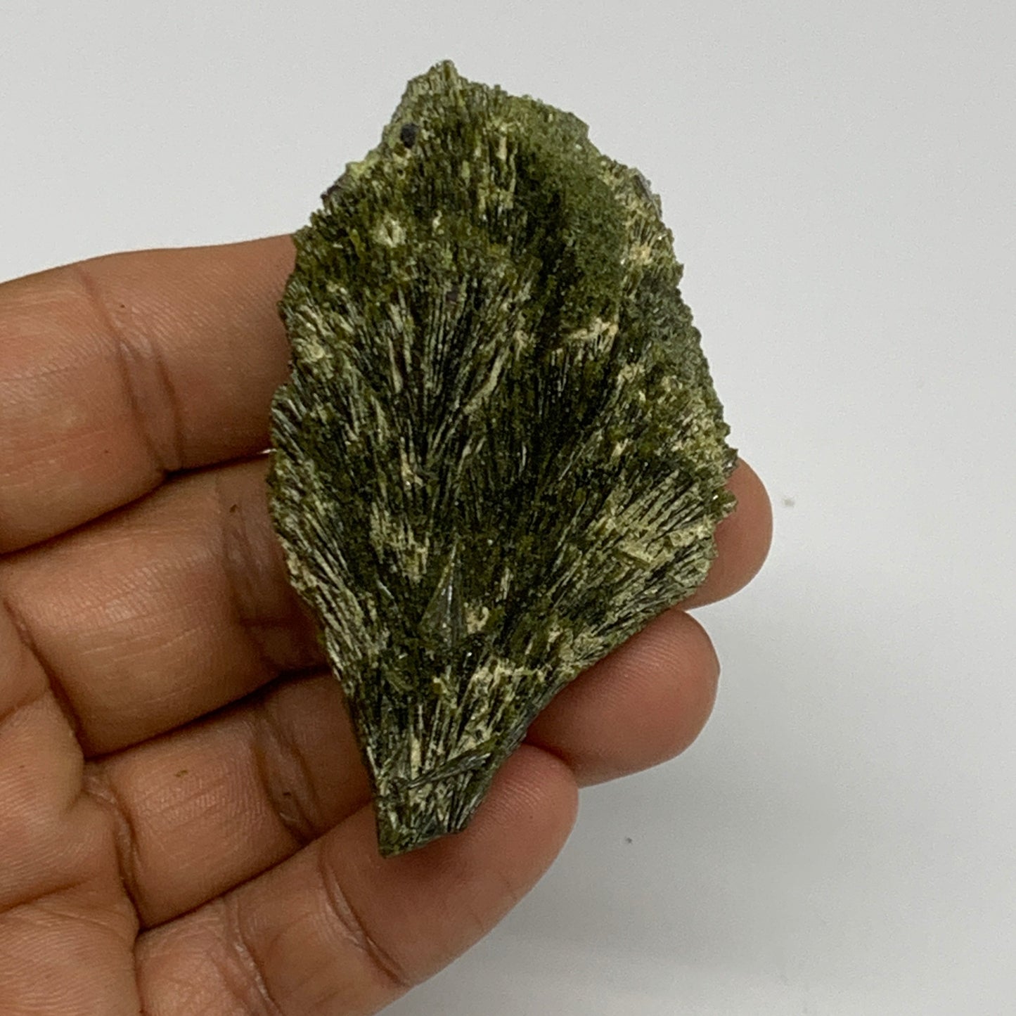 45.5g,2.5"x1.5"x0.7",Green Epidote Custer/Leaf Mineral Specimen @Pakistan,B27615