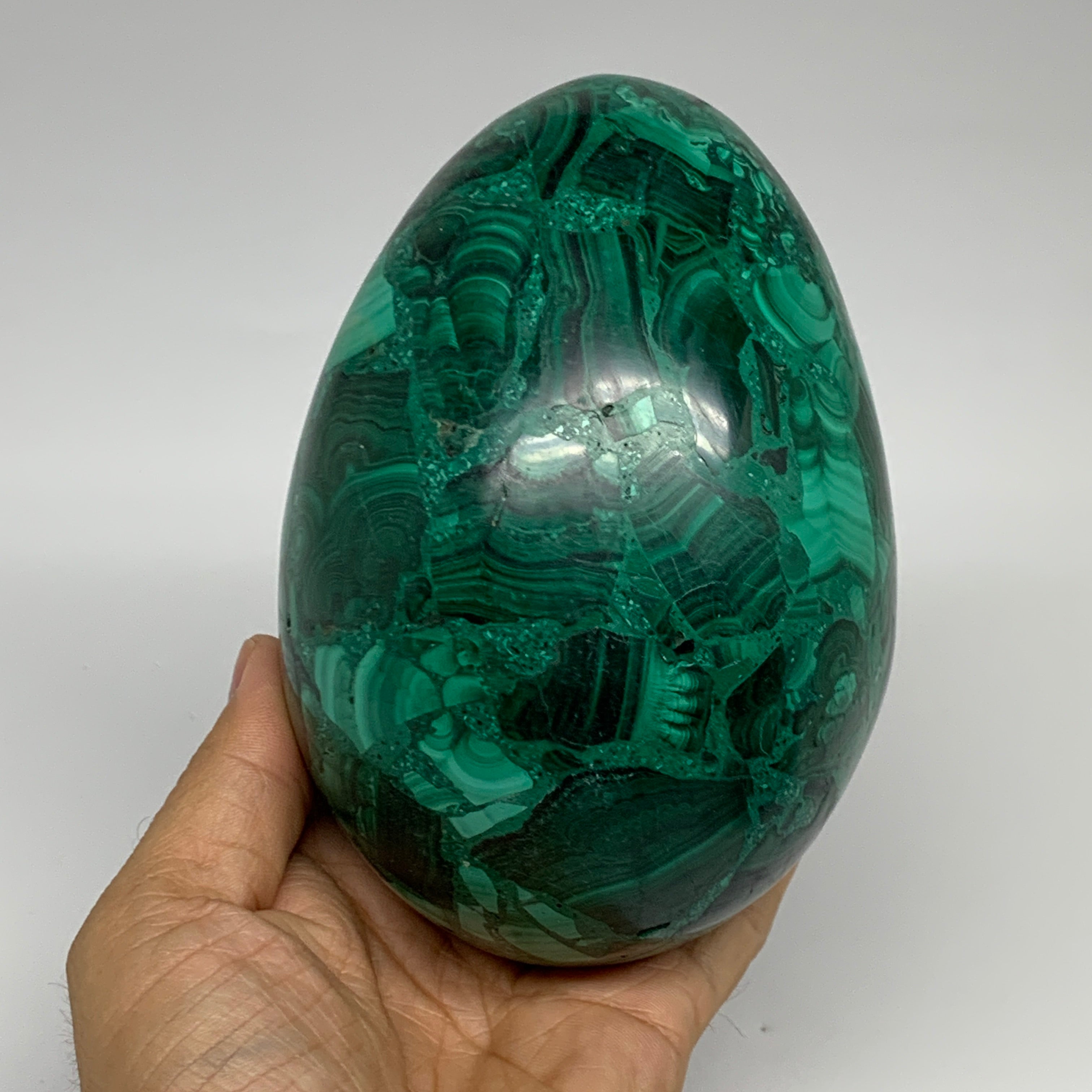 Polished Malachite Egg, Green outlets Malachite Egg, Congo