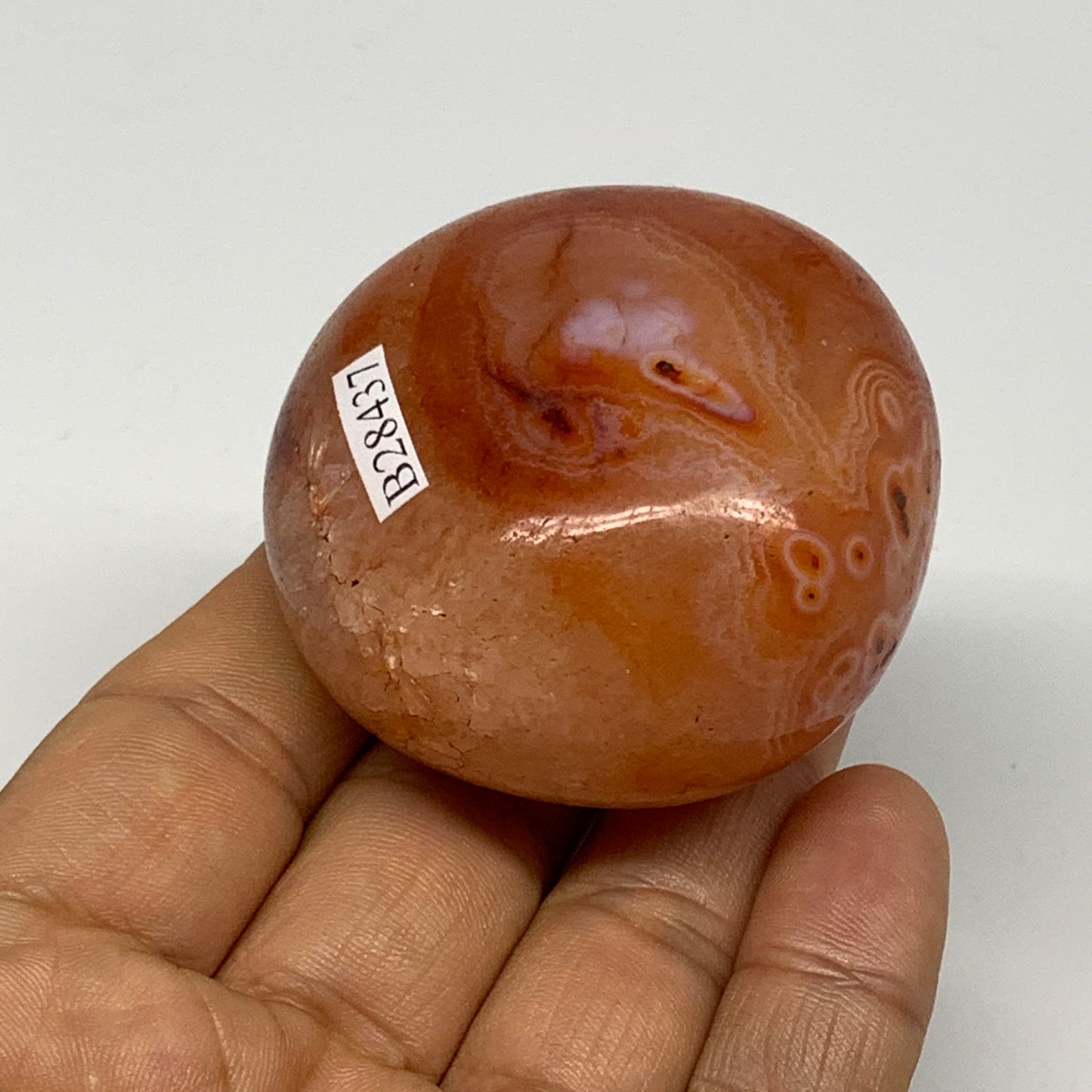 130.4g, 2"x2"x1.4", Red Carnelian Palm-Stone Gem Crystal Polished, B28437