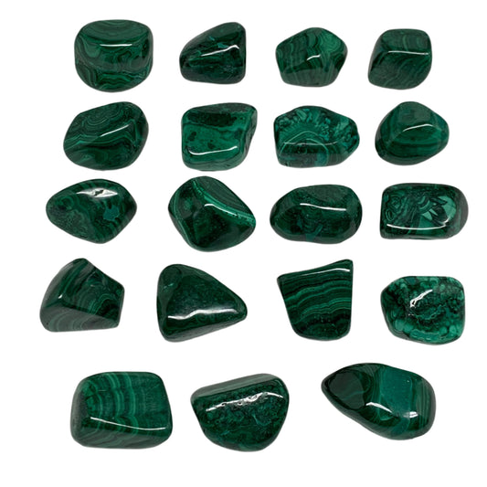 980g (2.16 lbs), 1.1"-1.6",19pcs, Natural Malachite Tumbled @Congo, B32837