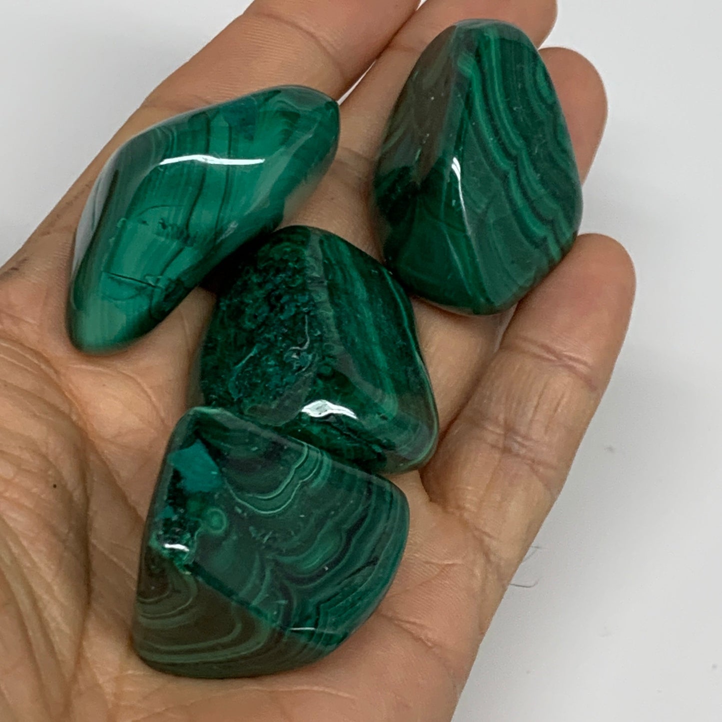 980g (2.16 lbs), 1.1"-1.6",19pcs, Natural Malachite Tumbled @Congo, B32837