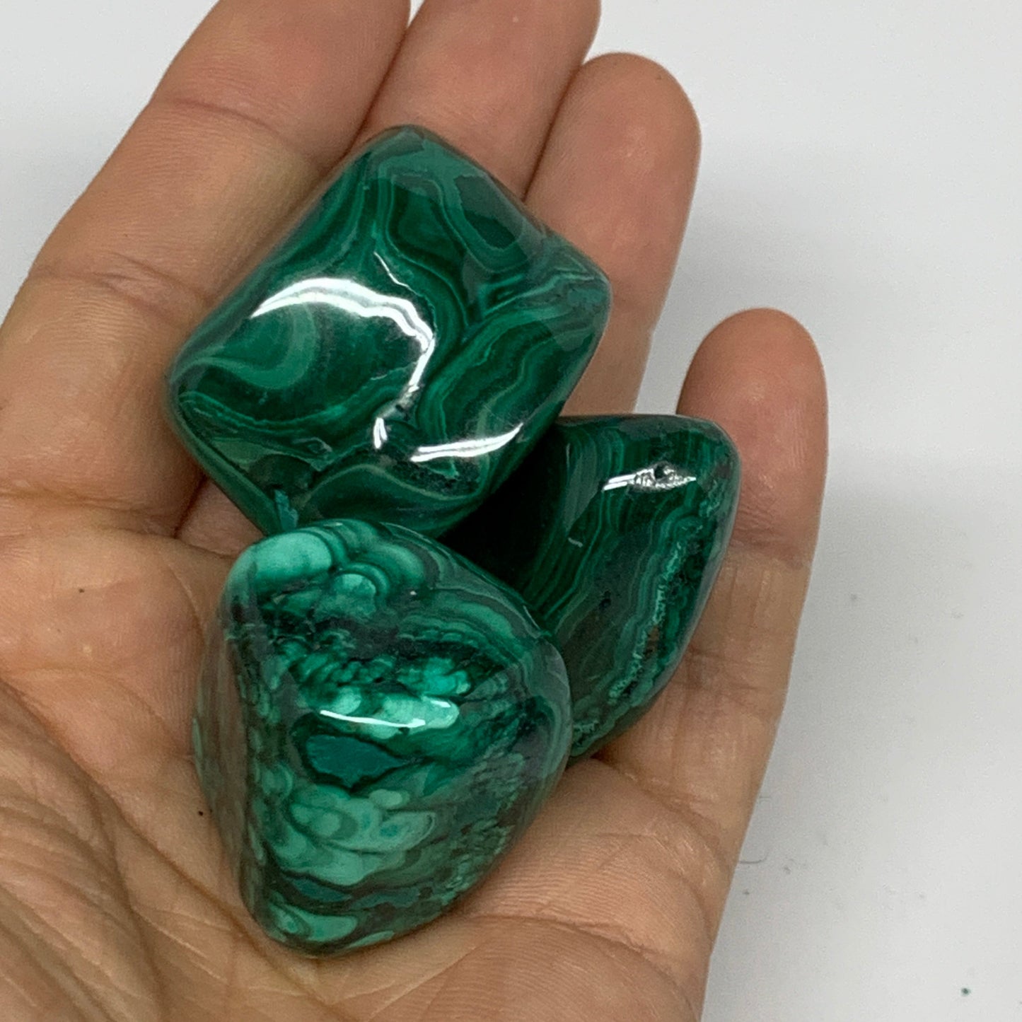 980g (2.16 lbs), 1.1"-1.6",19pcs, Natural Malachite Tumbled @Congo, B32837