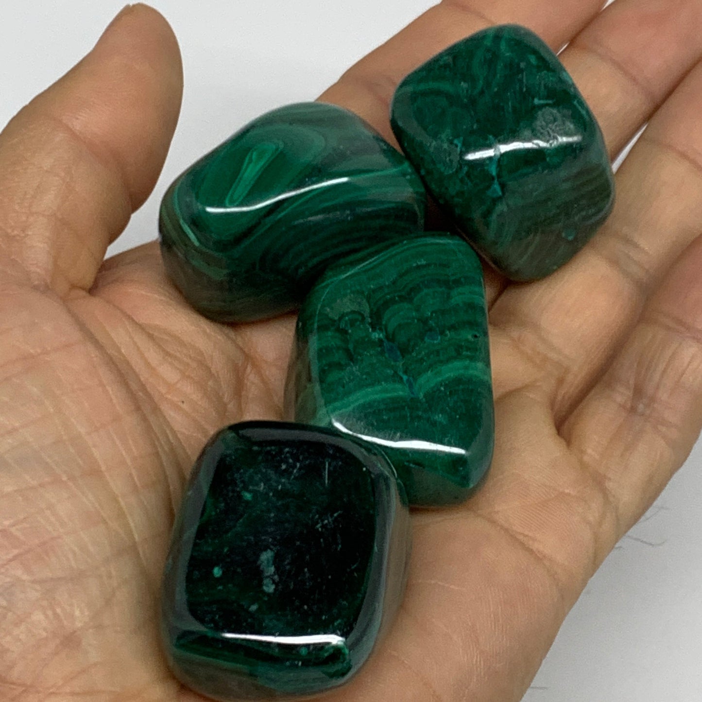 980g (2.16 lbs), 1.1"-1.6",19pcs, Natural Malachite Tumbled @Congo, B32837